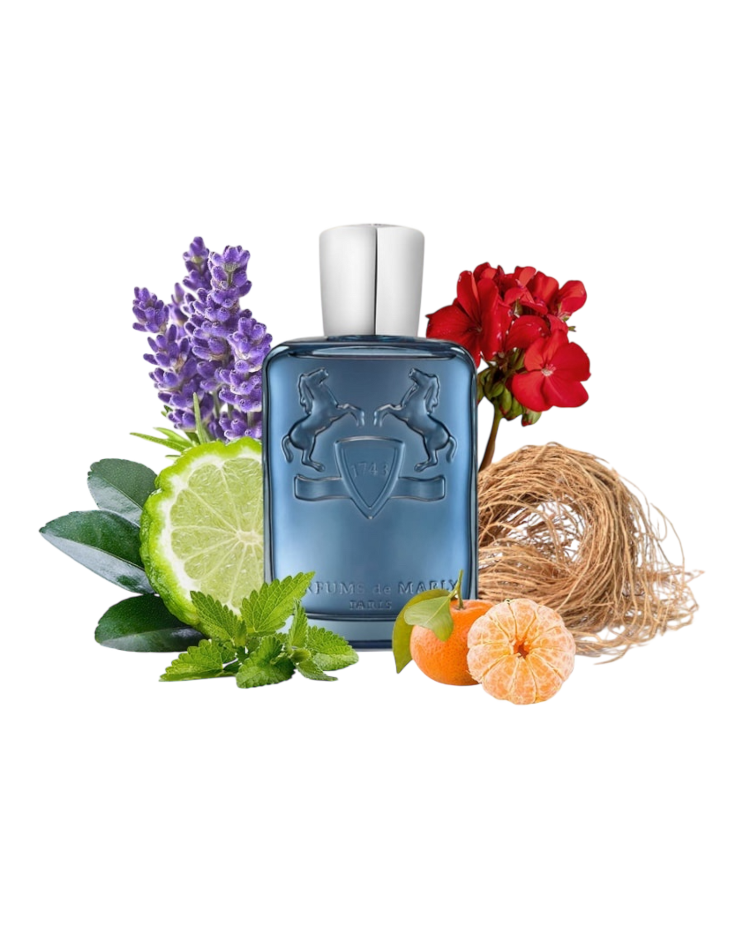 PARFUM DE MARLY SEDLEY 125ml | OVP 1:1