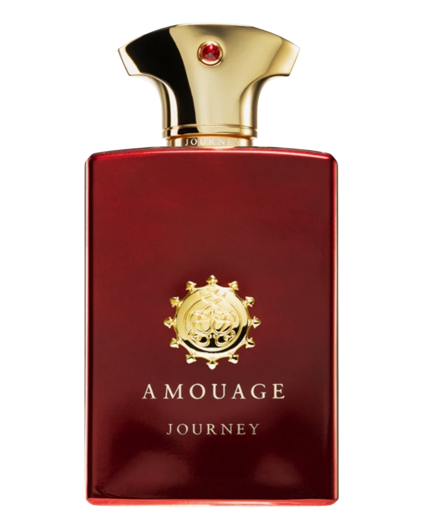 Amouage - Journey Man 100ml |OVP 1:1