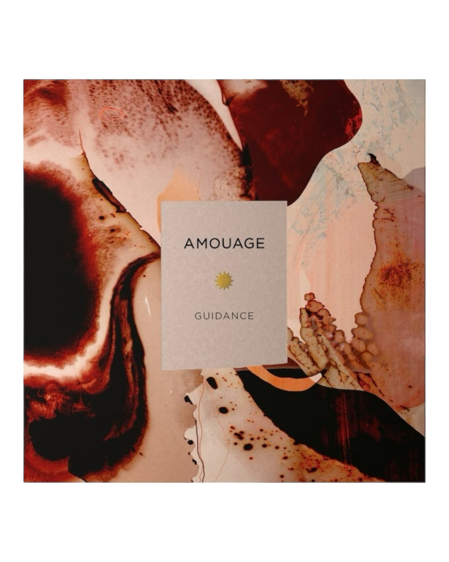 Amouage - Guidance - 100ml |OVP 1:1
