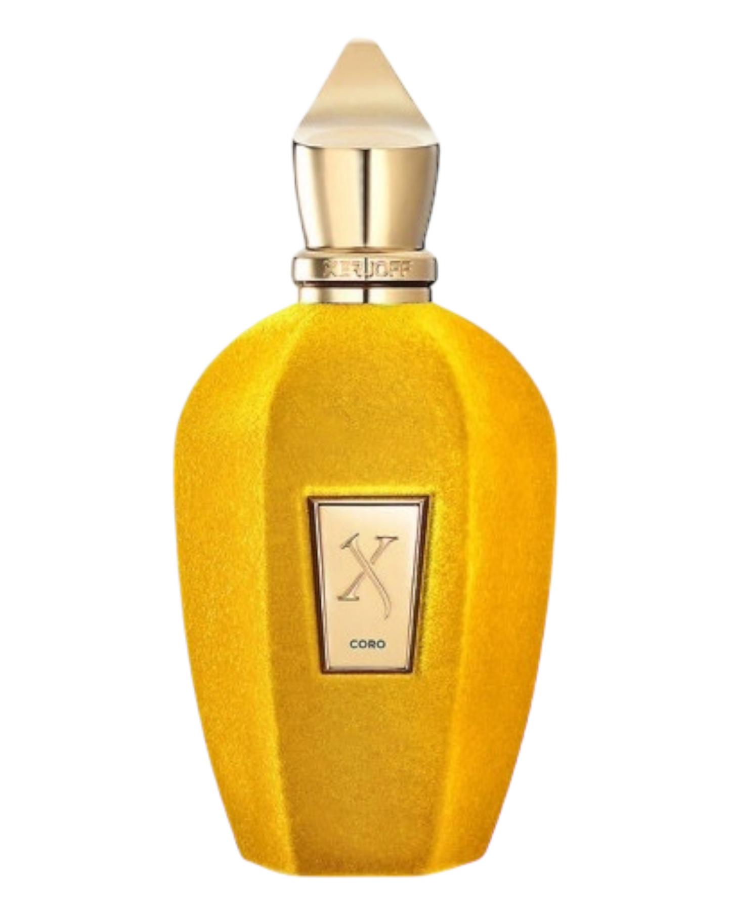 XERJOFF CORO 100ml | OVP 1:1