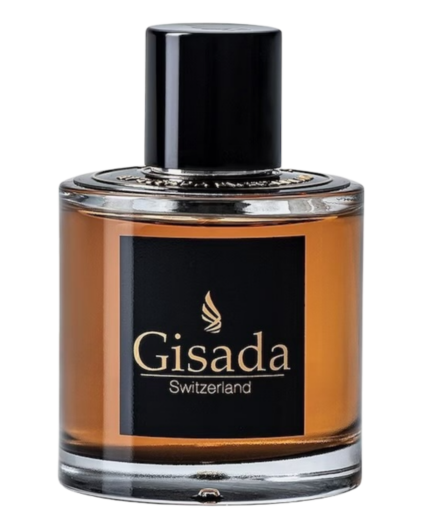 GISADA AMBASSADOR FOR MEN EAU DE PARFUM 100ml | OVP 1:1