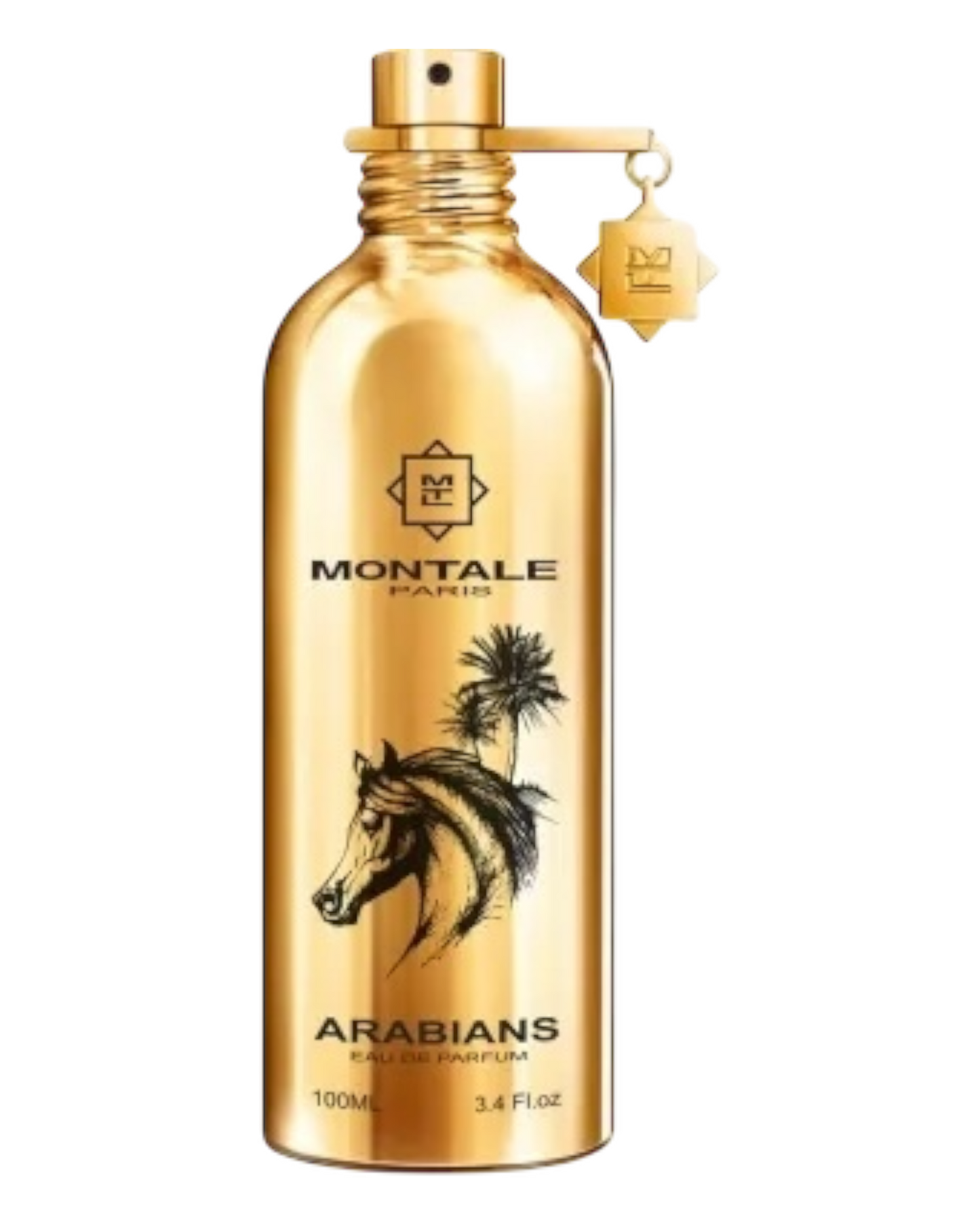 Montale Arabians 100ml | OVP 1:1