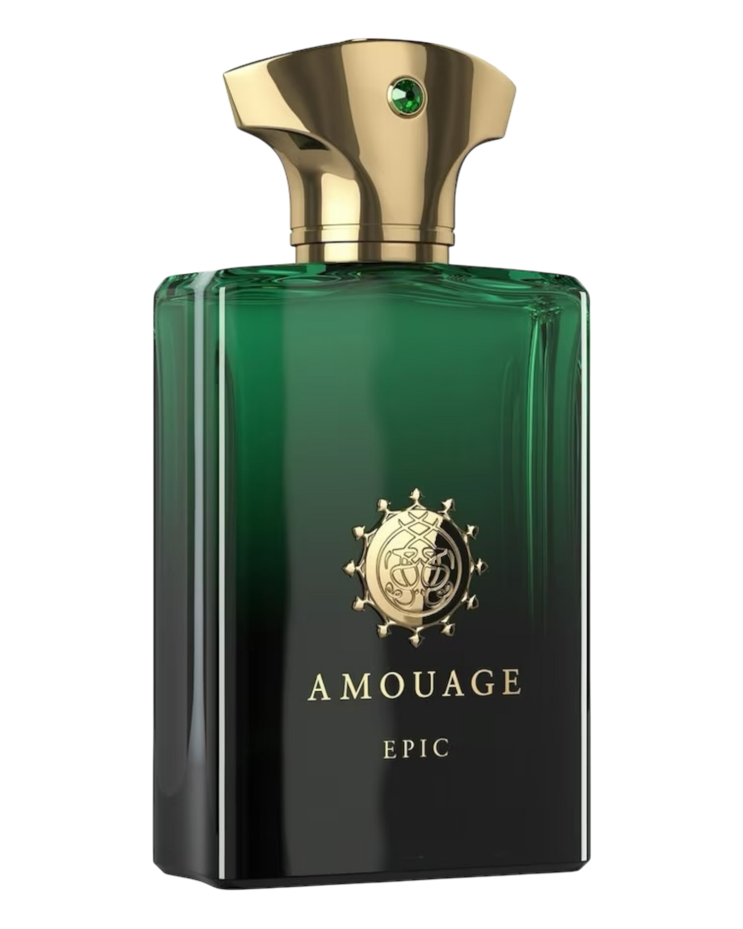 AMOUAGE EPIC MAN Eau de Parfum 100ml - OVP