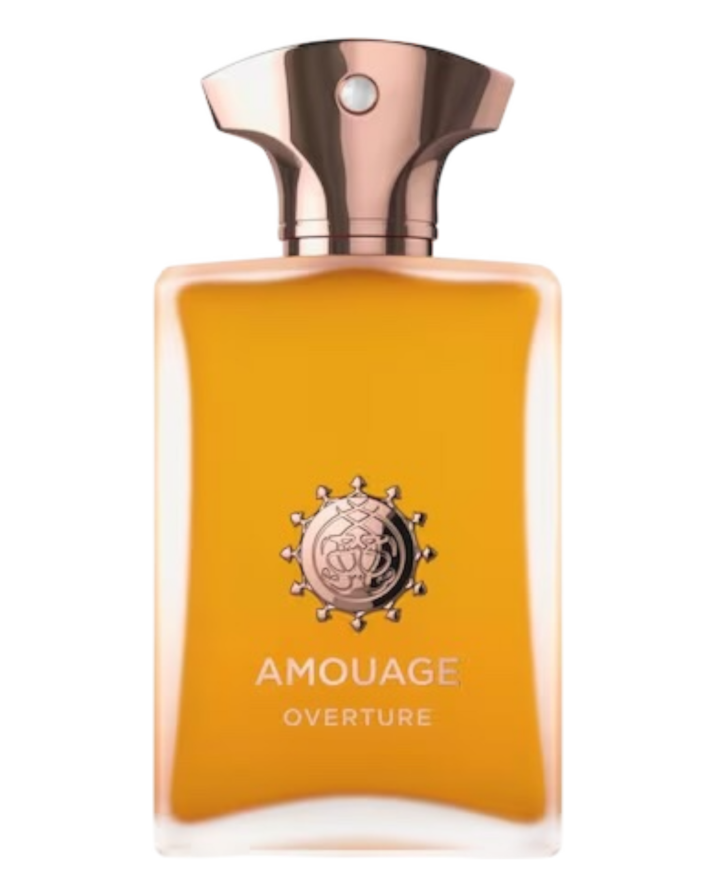 Amouage - Overture Man 100ml |OVP 1:1