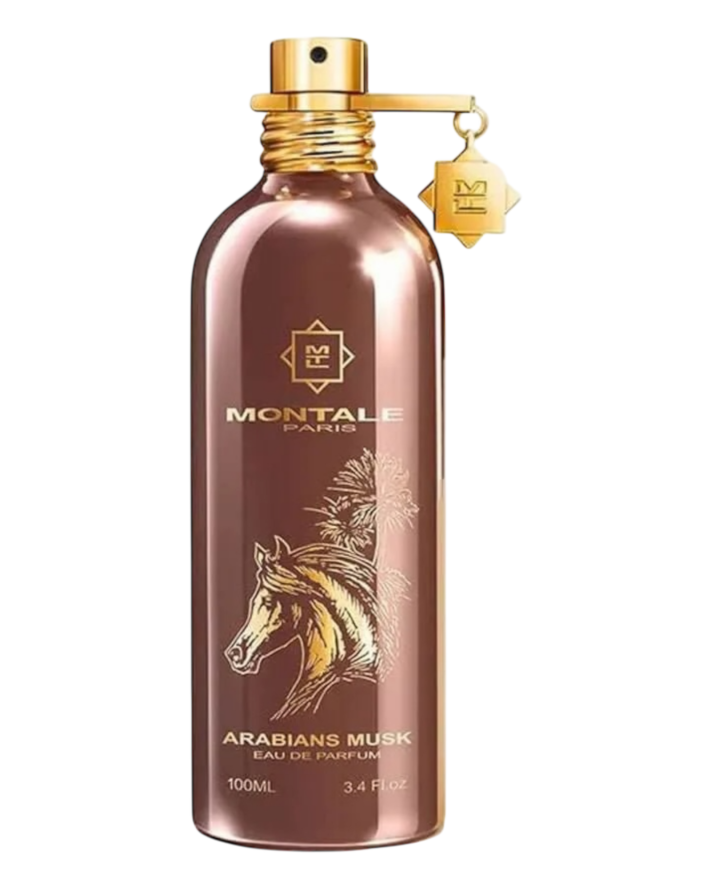 Montale Arabians Musk 100ml | OVP 1:1