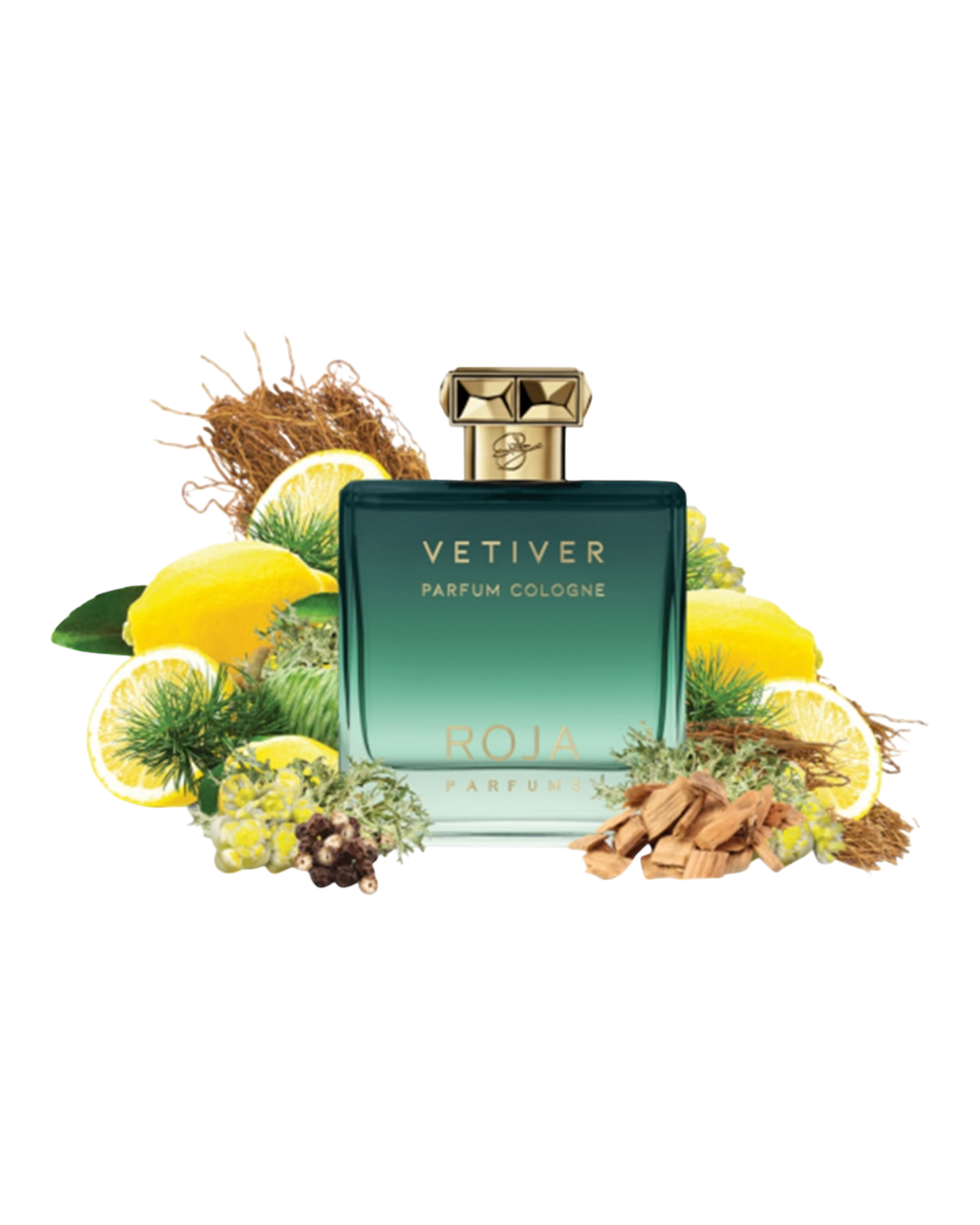 Roja Parfums Vetiver - EAU DE PARFUM - 100ml - OVP