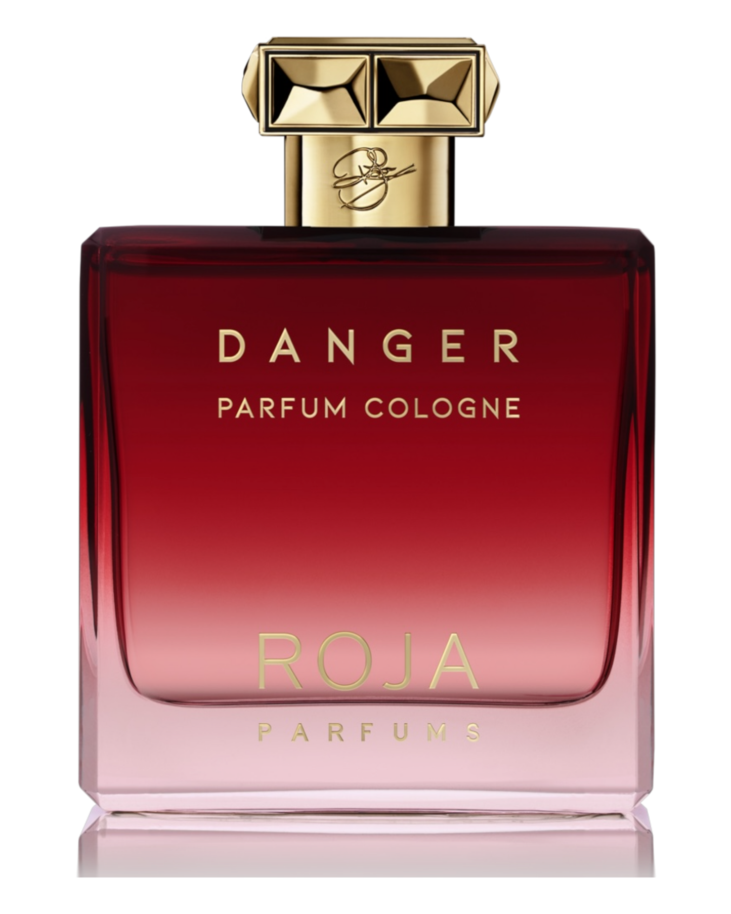 Roja Parfums Danger Parfum Cologne - EAU DE PARFUM - 100ml - OVP