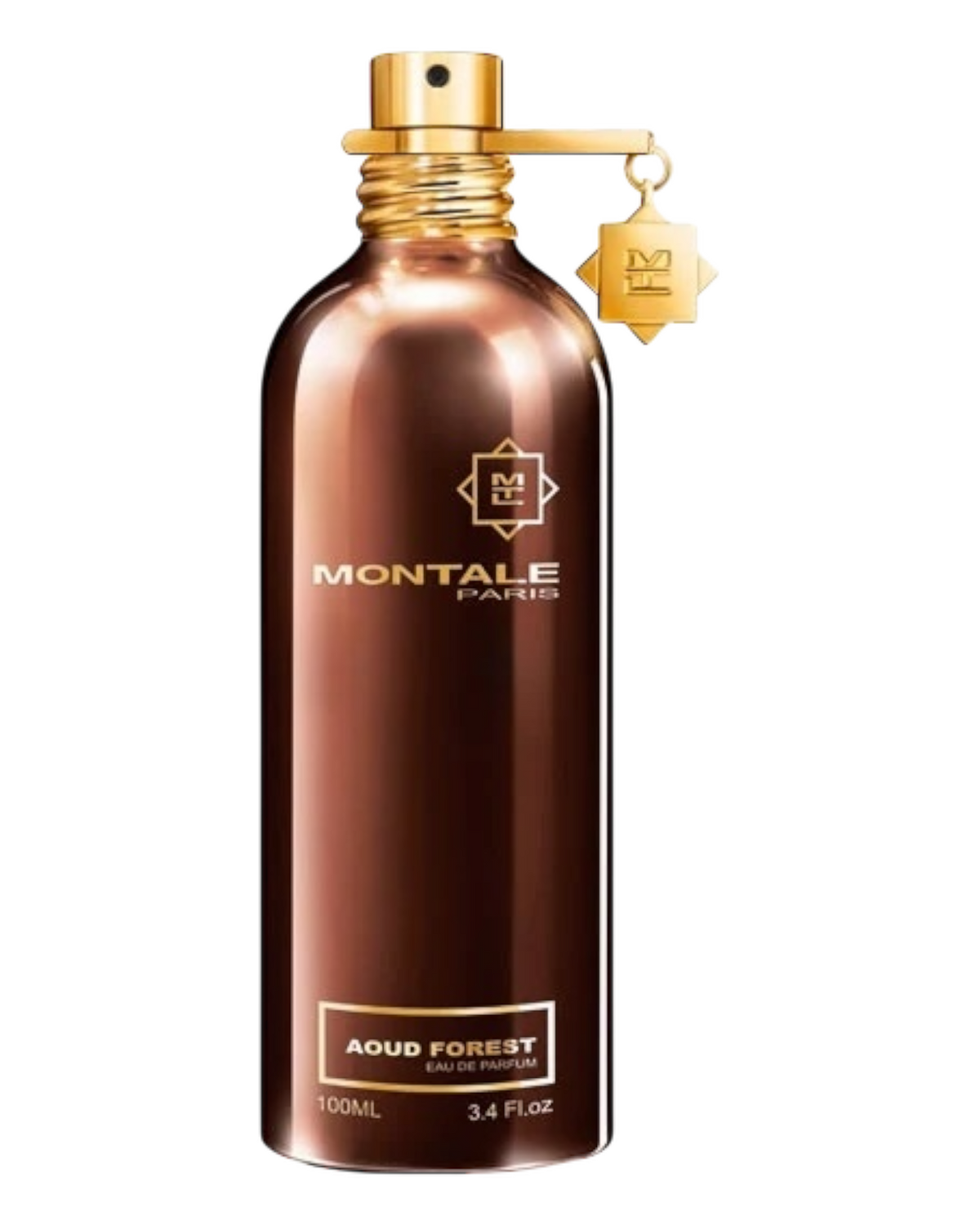 Montale Aoud Forest 100ml | OVP 1:1