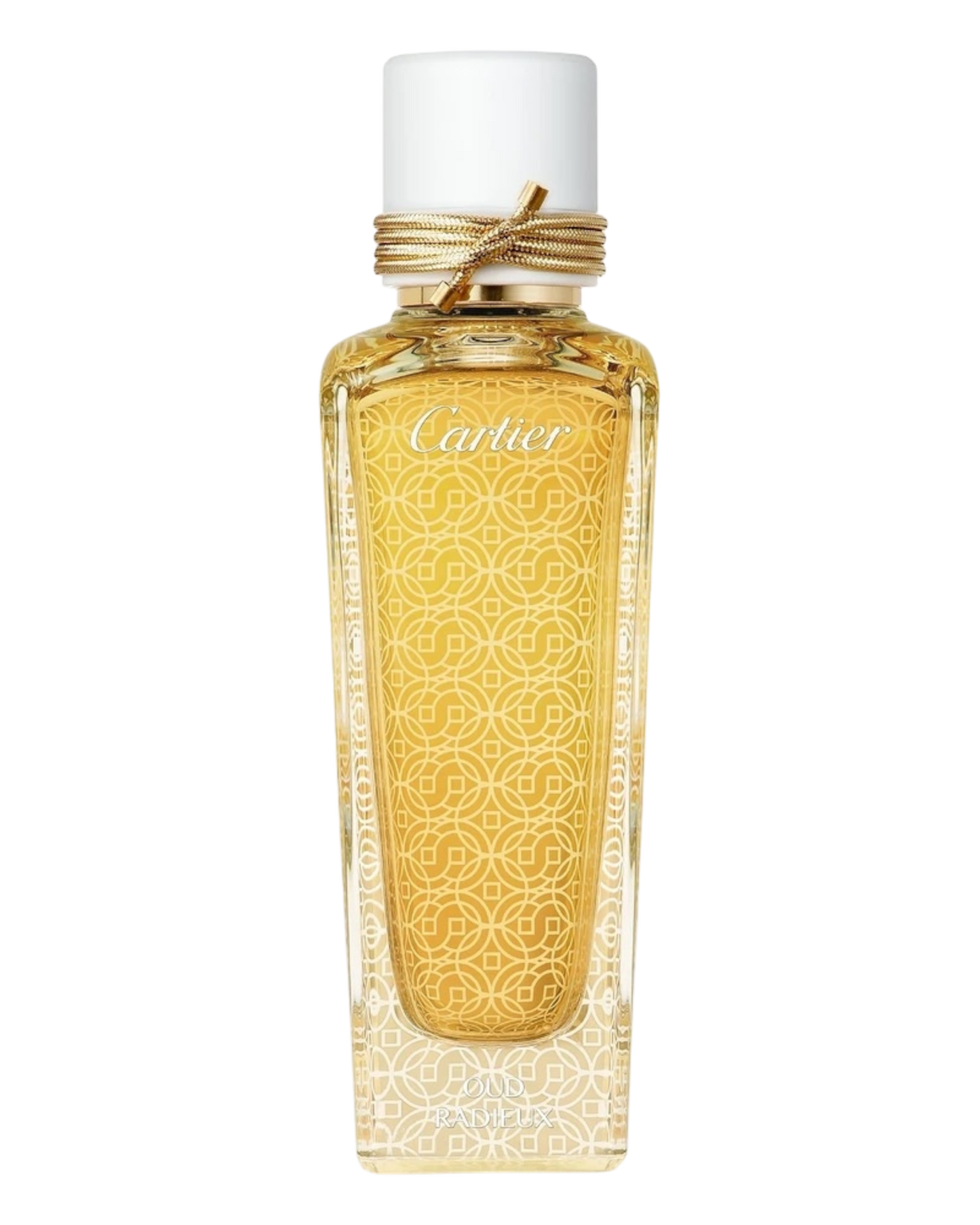 Cartier Oud Radieux 100ml |OVP 1:1