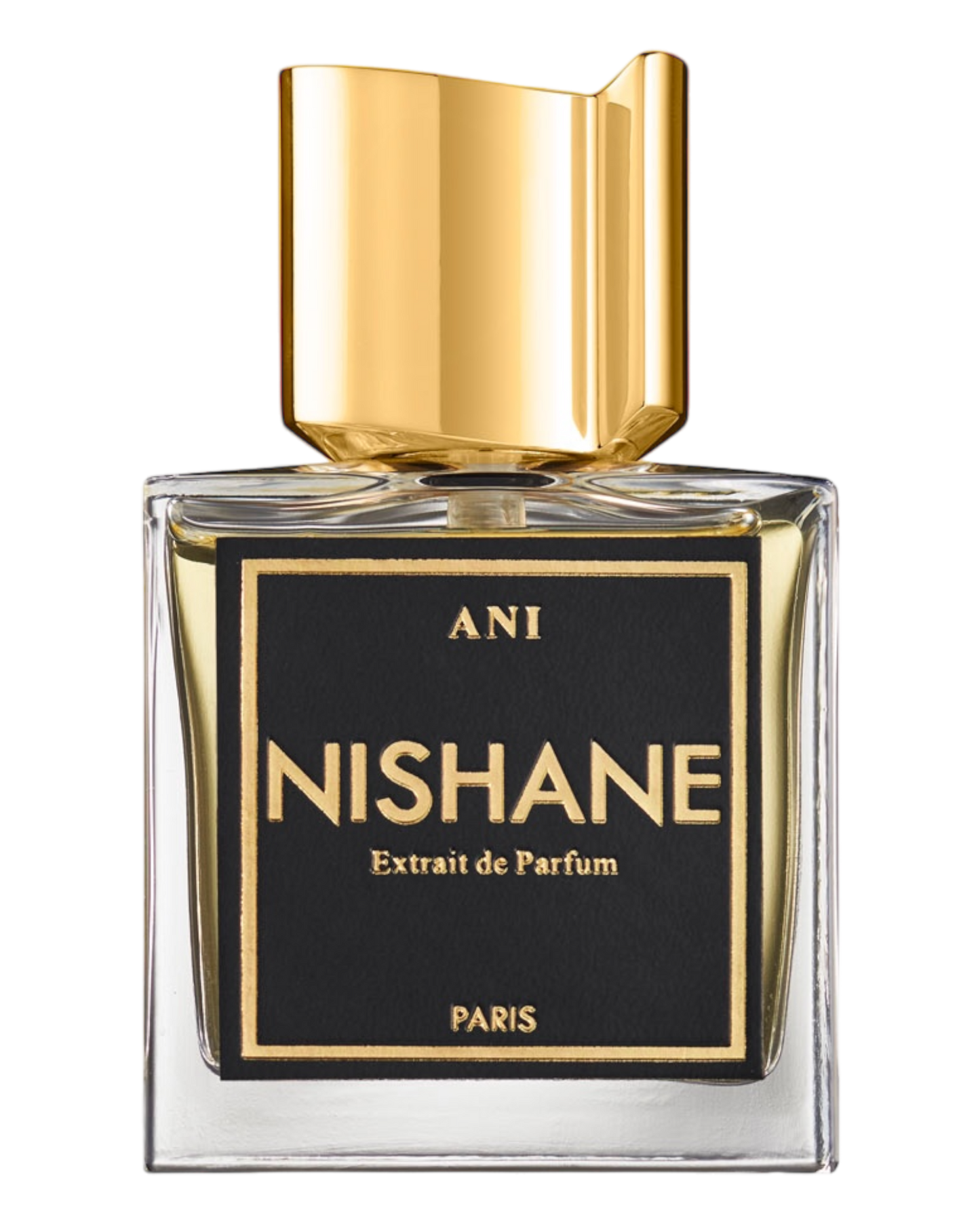 NISHANE ANI Extrait de Parfum 100ml | OVP 1:1