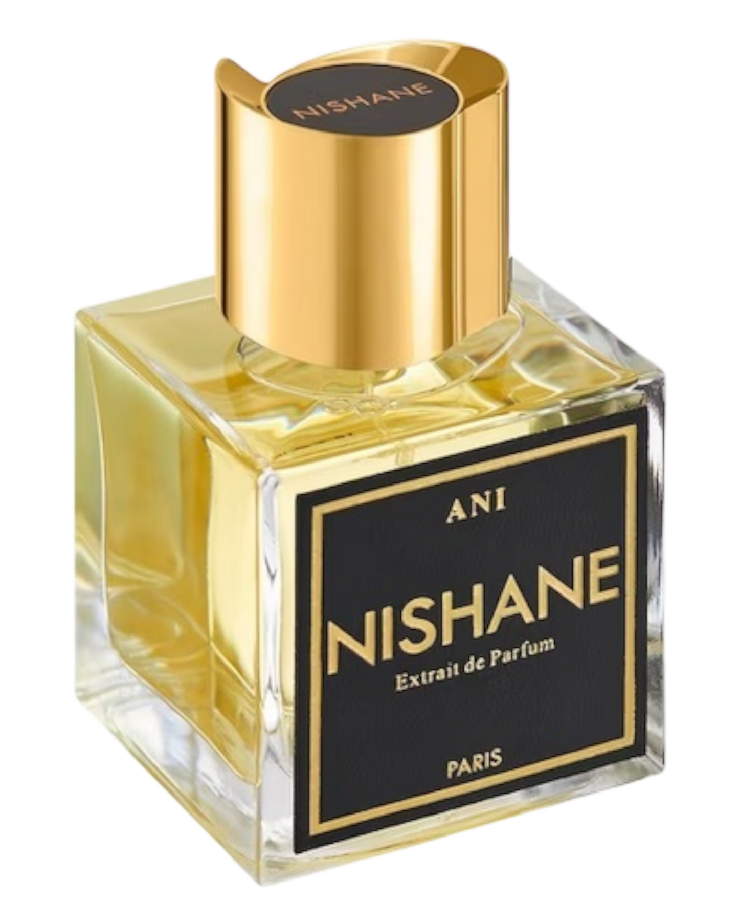 NISHANE ANI Extrait de Parfum 100ml | OVP 1:1