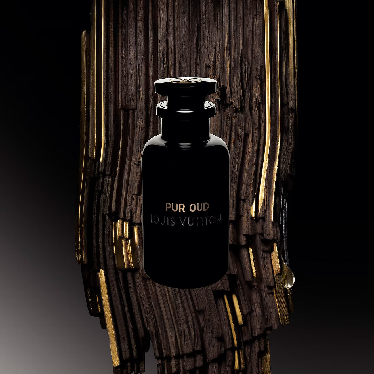 LOUIS VUITTON PUR OUD 100ml | OVP 1:1