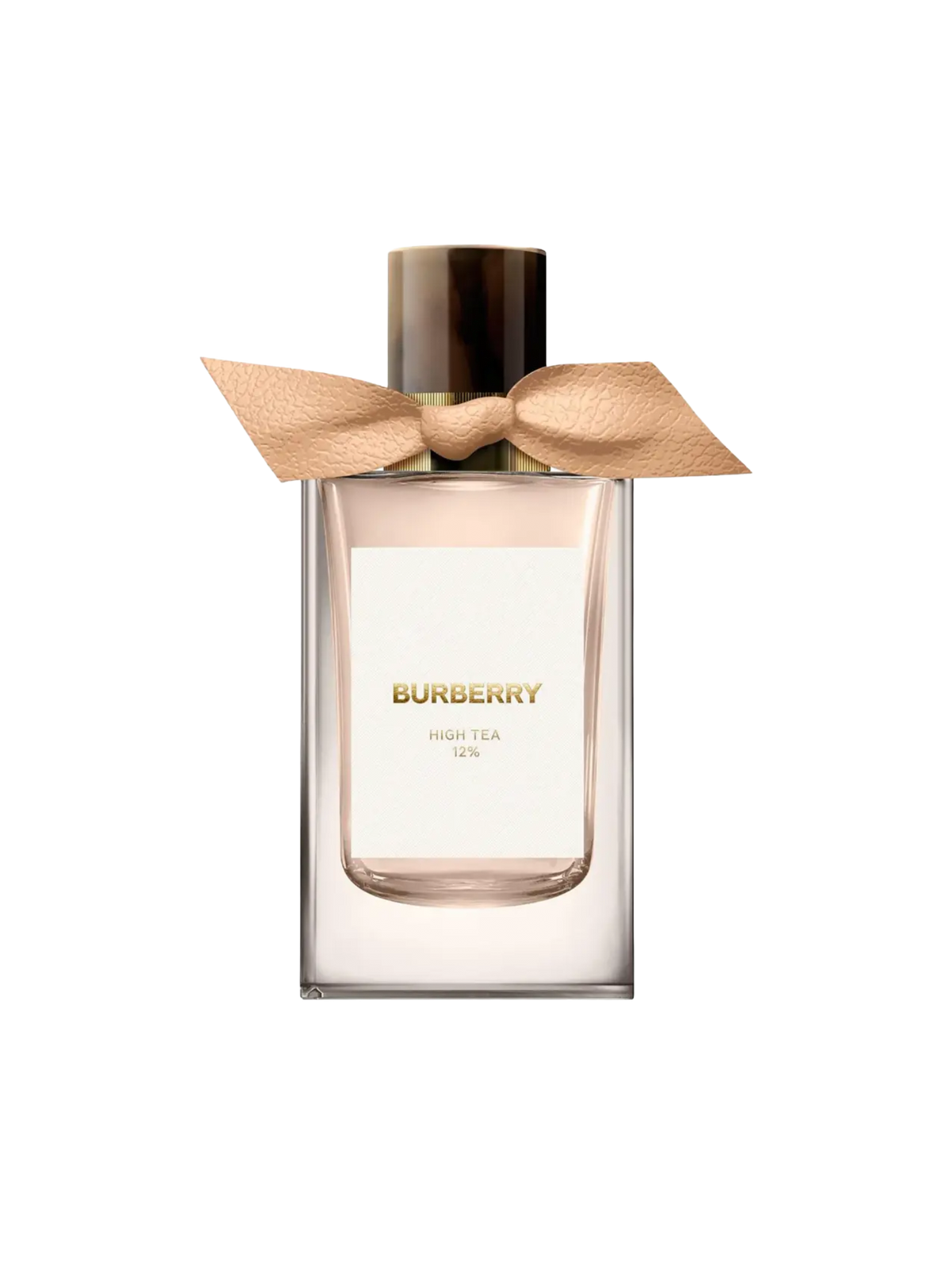 BURBERRY PARFUMS - 100ML - OVP