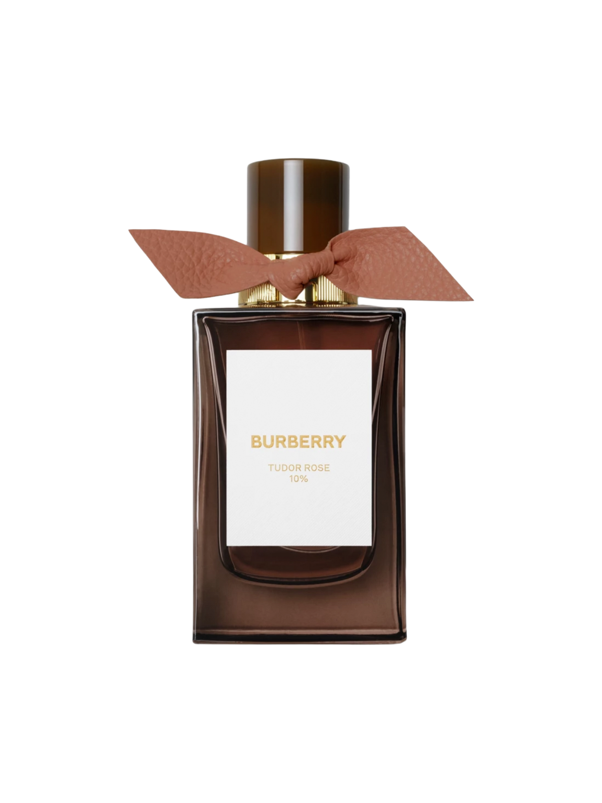 BURBERRY PARFUMS - 100ML - OVP