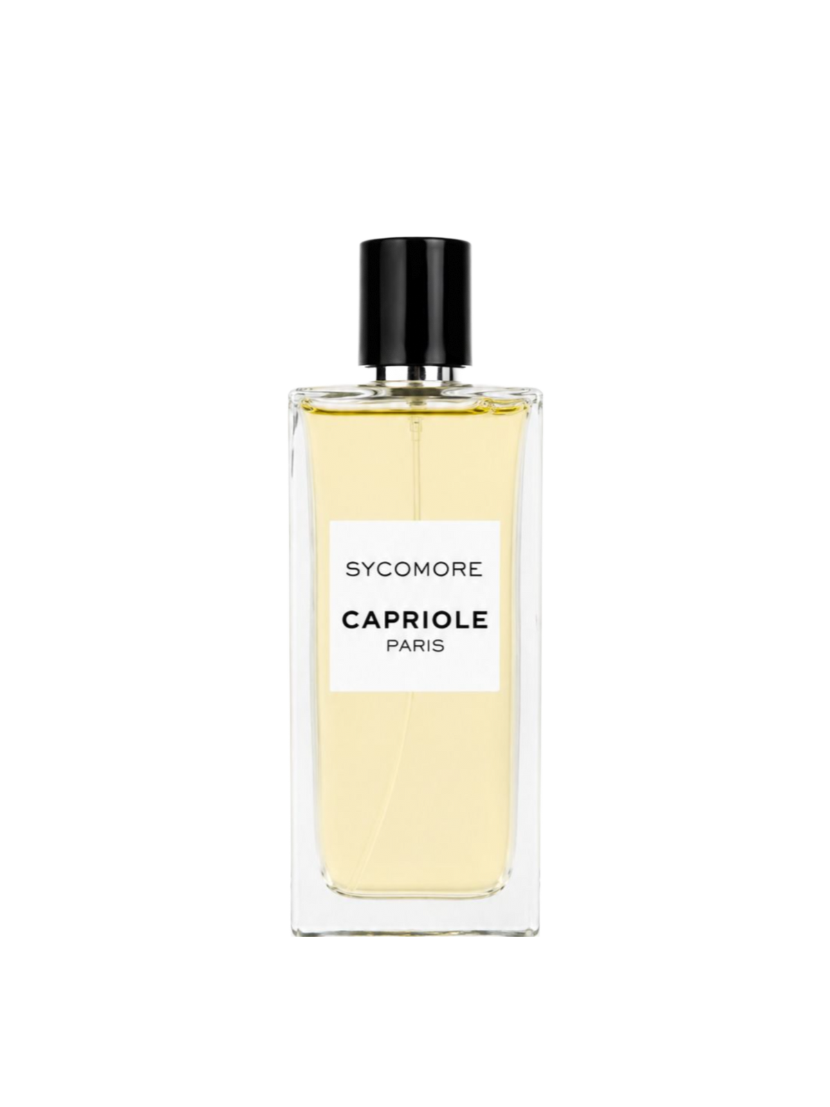 CHANEL PARFUMS - 50ML/75ML/100ML/125ML - OVP