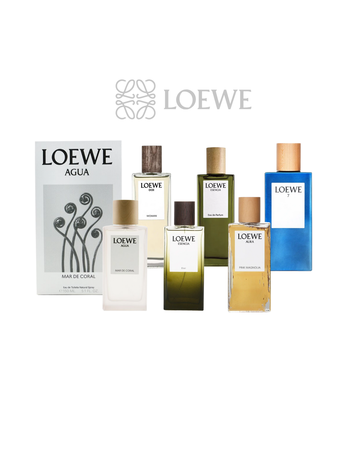 LOEWE PARFUMS - 50ML/100ML - OVP