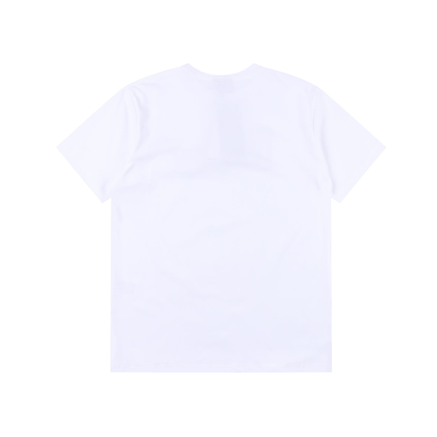 DIOR T-SHIRT - SUPER CLONE