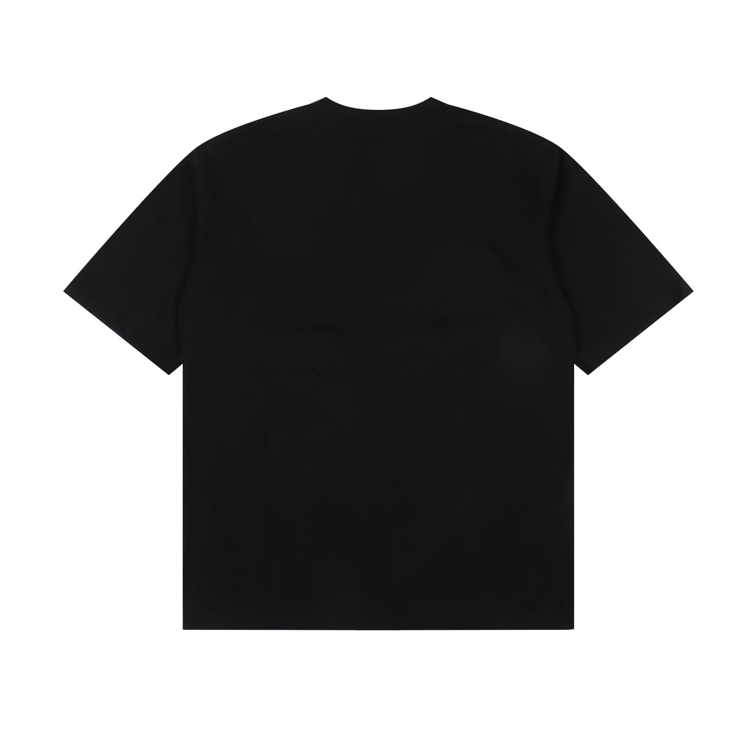CARHARTT WIP T-SHIRT - SUPER CLONE