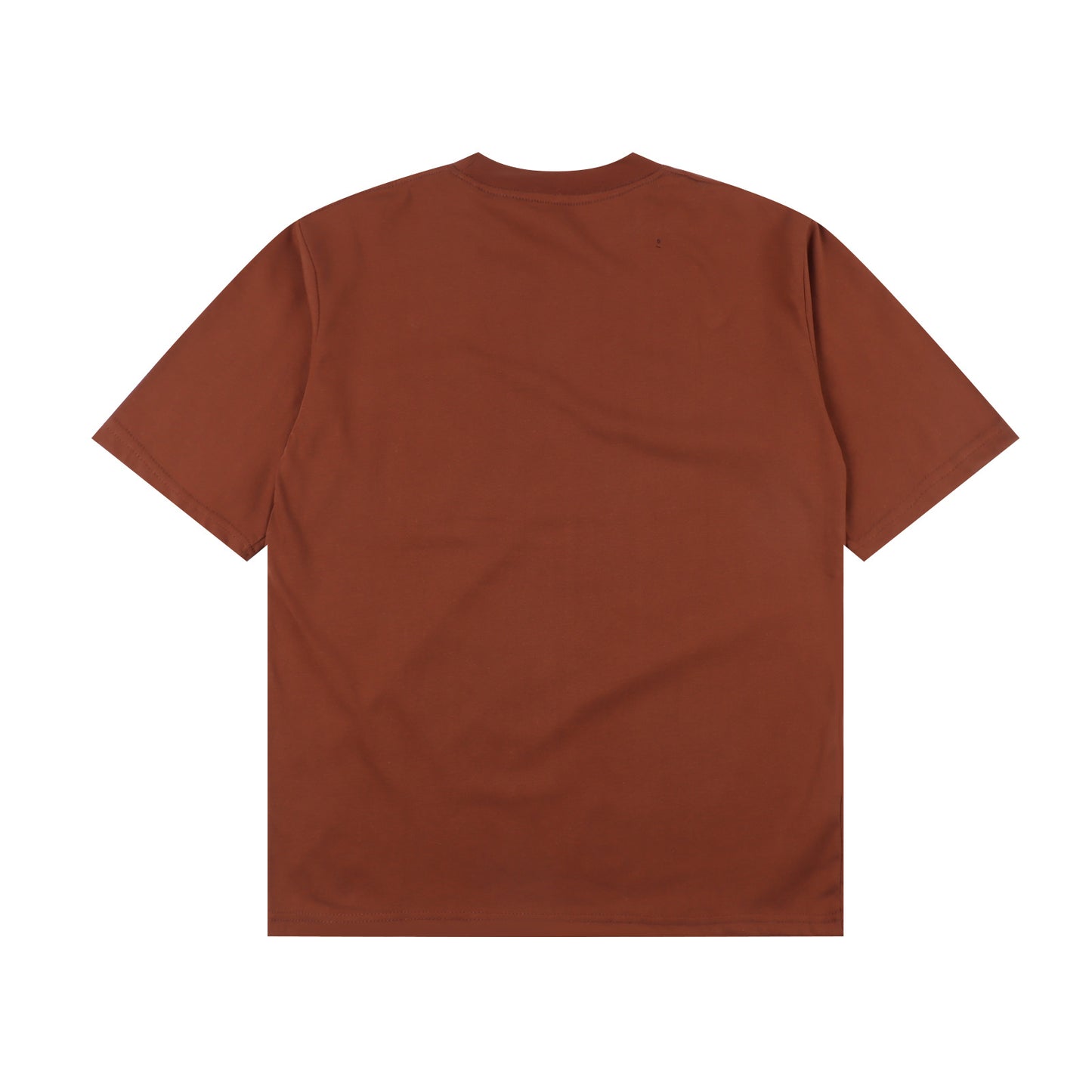 CARHARTT WIP T-SHIRT - SUPER CLONE