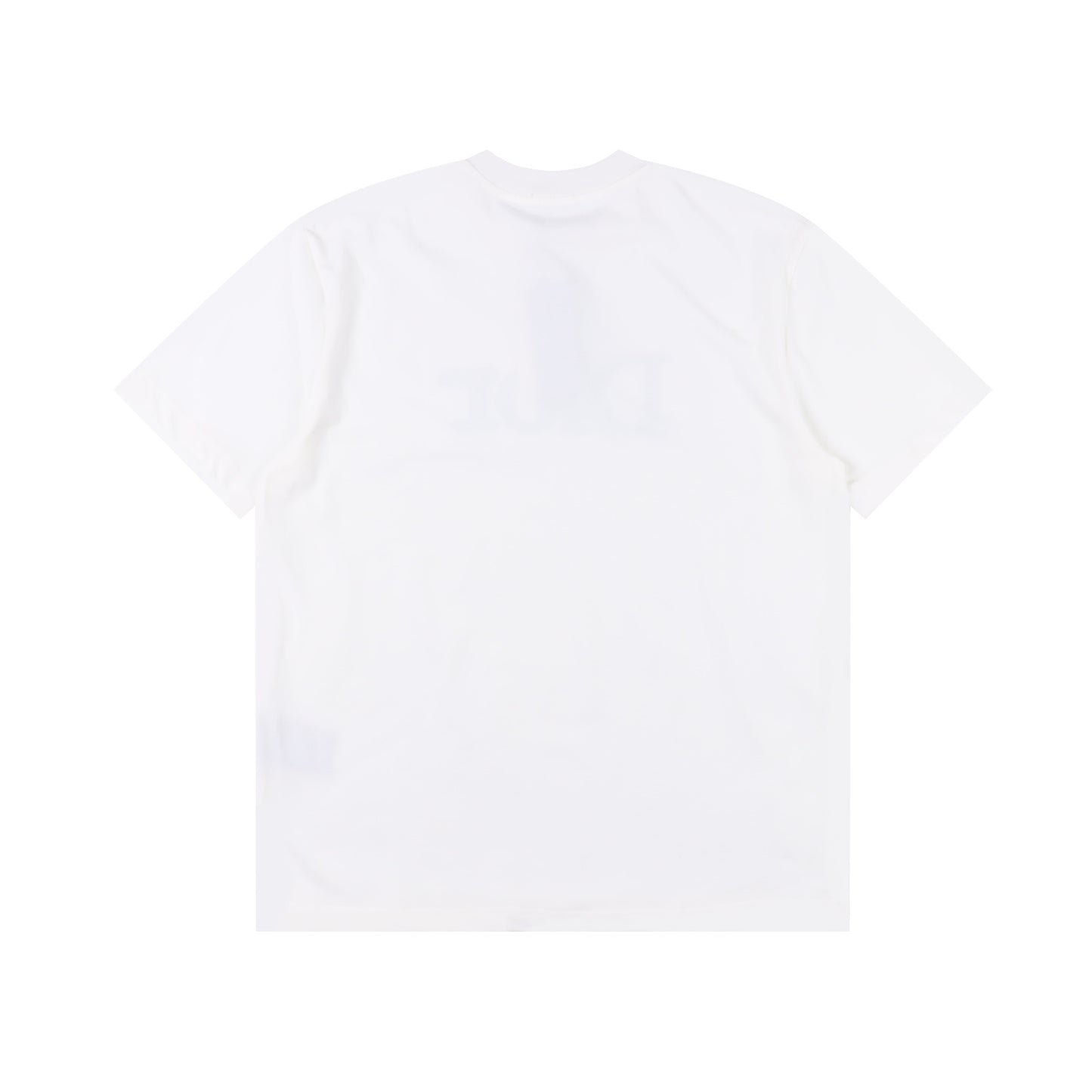 DIOR T-SHIRT - SUPER CLONE