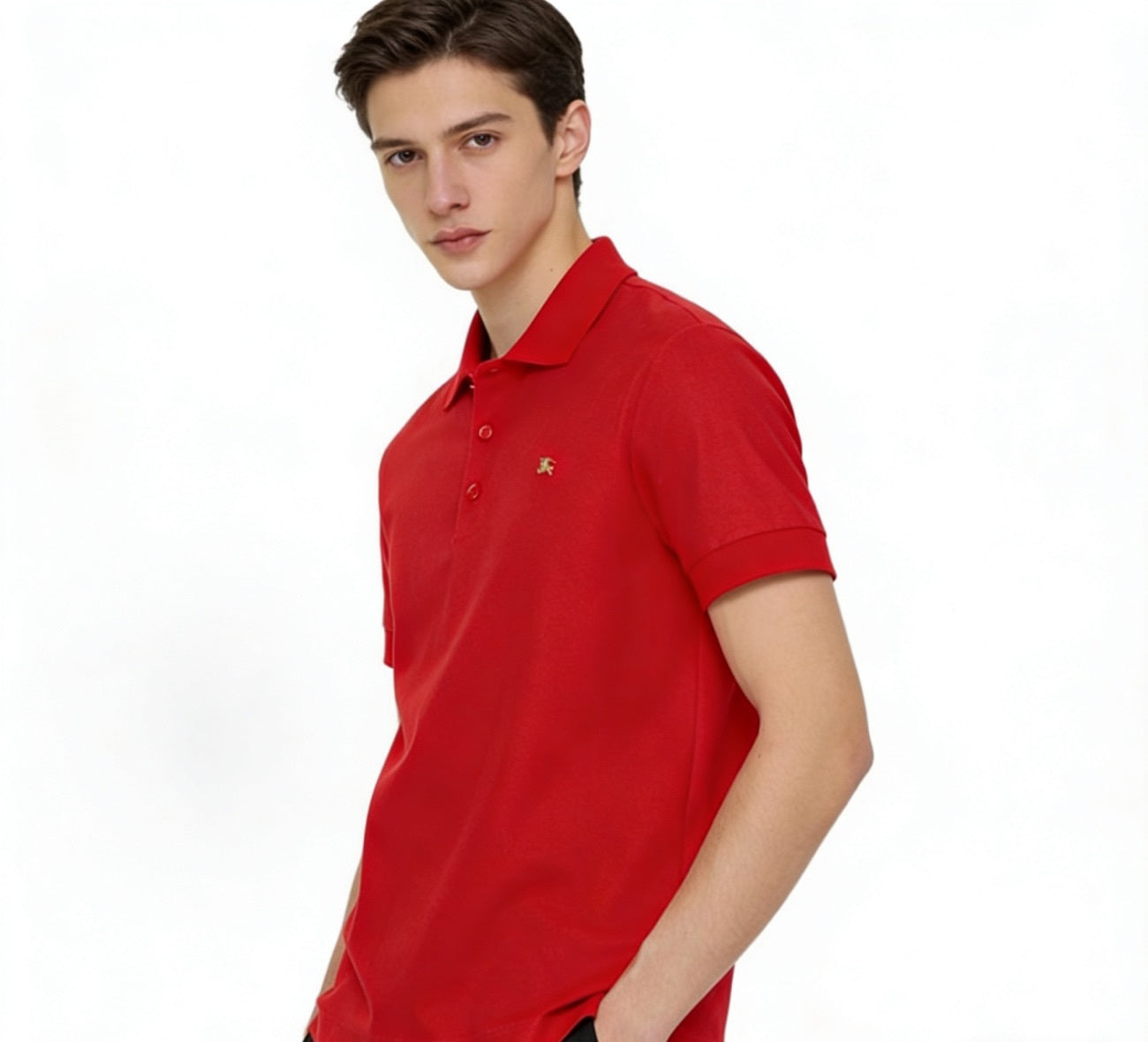 BURBERRY POLO SHIRT – mit Tags – 1:1 HIGH END