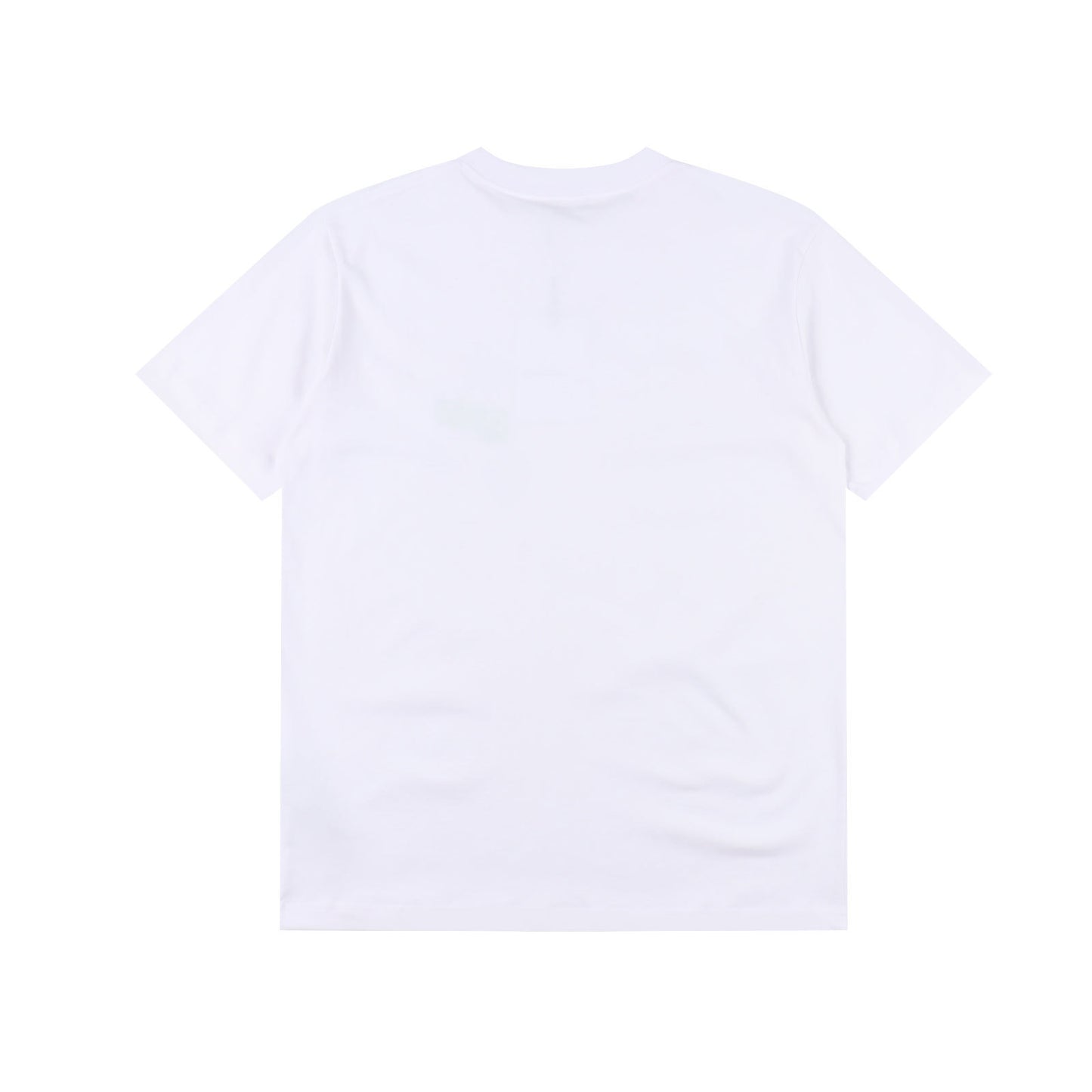 DIOR MOUNTAIN T-SHIRT - SUPER CLONE