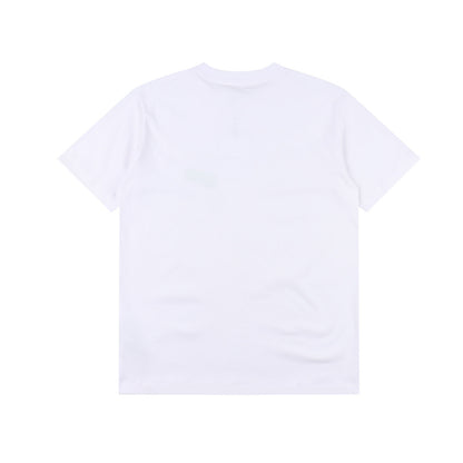 DIOR MOUNTAIN T-SHIRT - SUPER CLONE