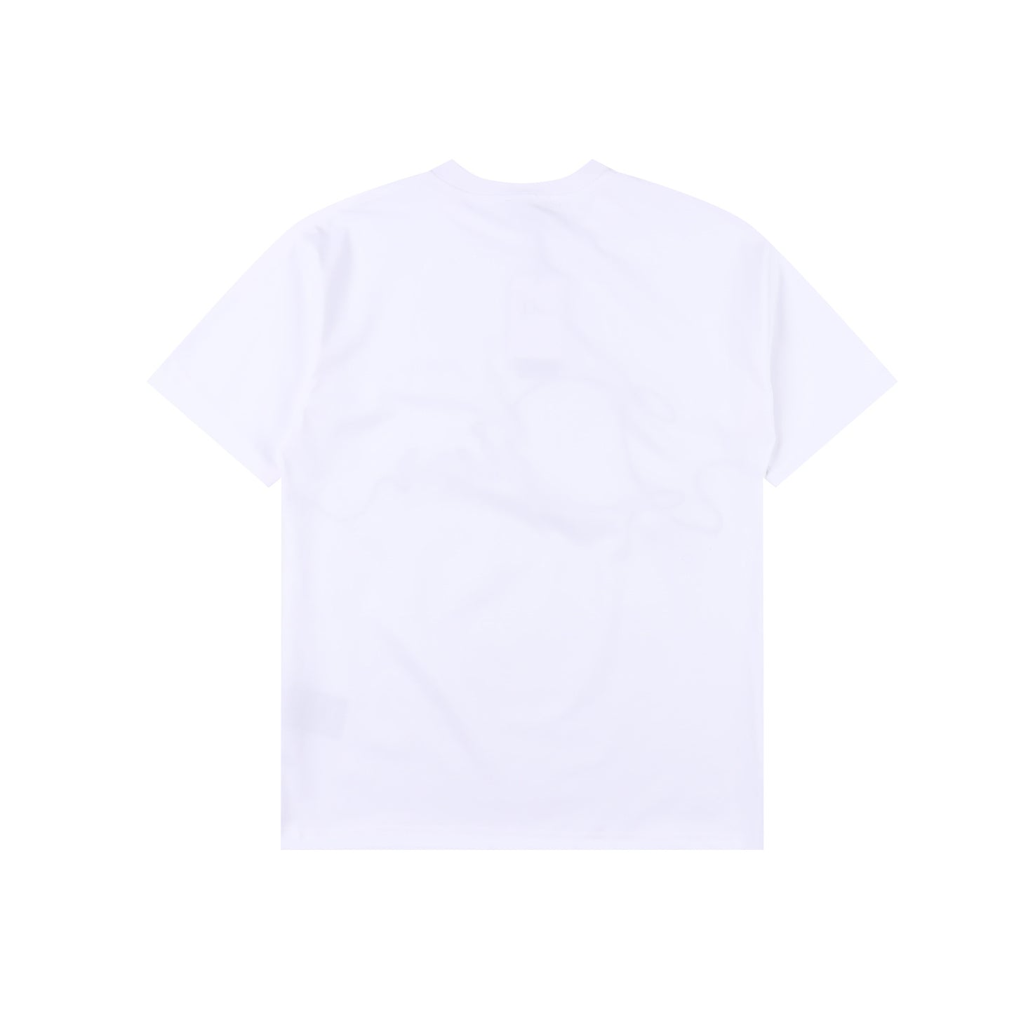 DIOR T-SHIRT - SUPER CLONE