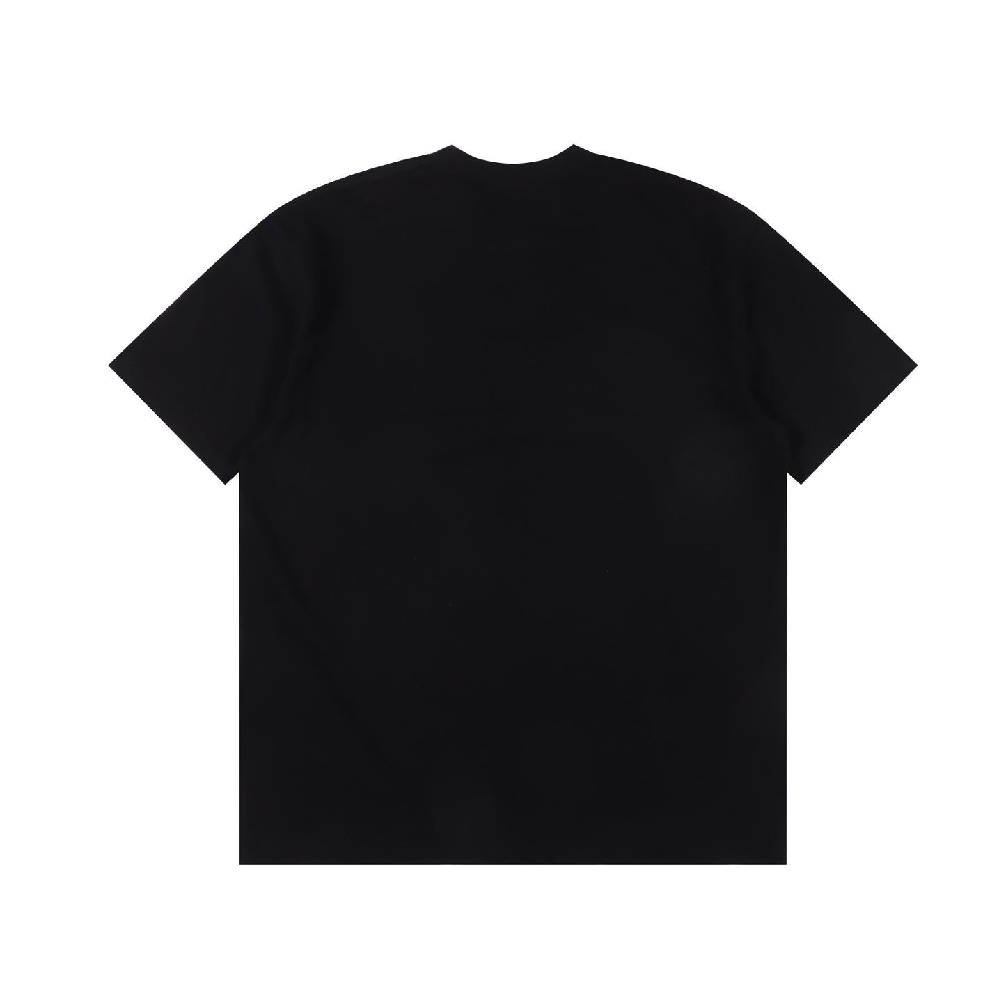DIOR T-SHIRT - SUPER CLONE