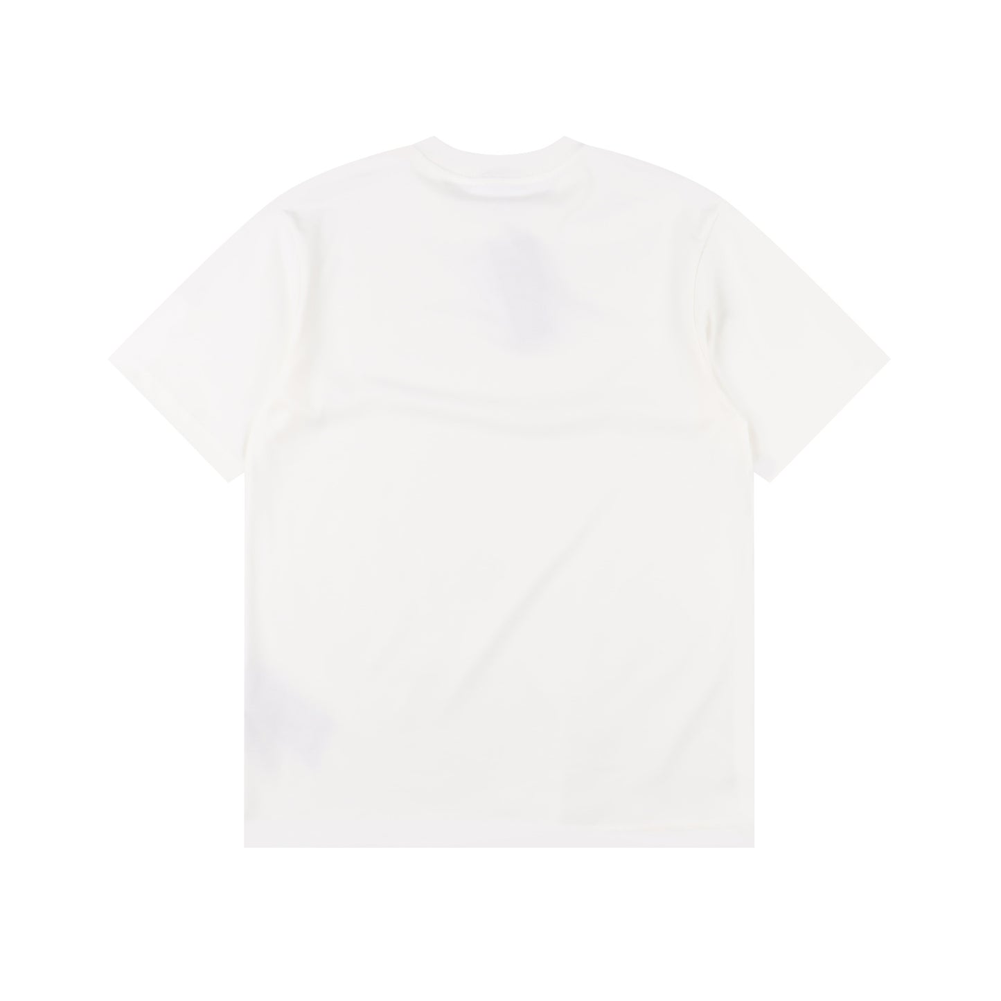 DIOR T-SHIRT - SUPER CLONE
