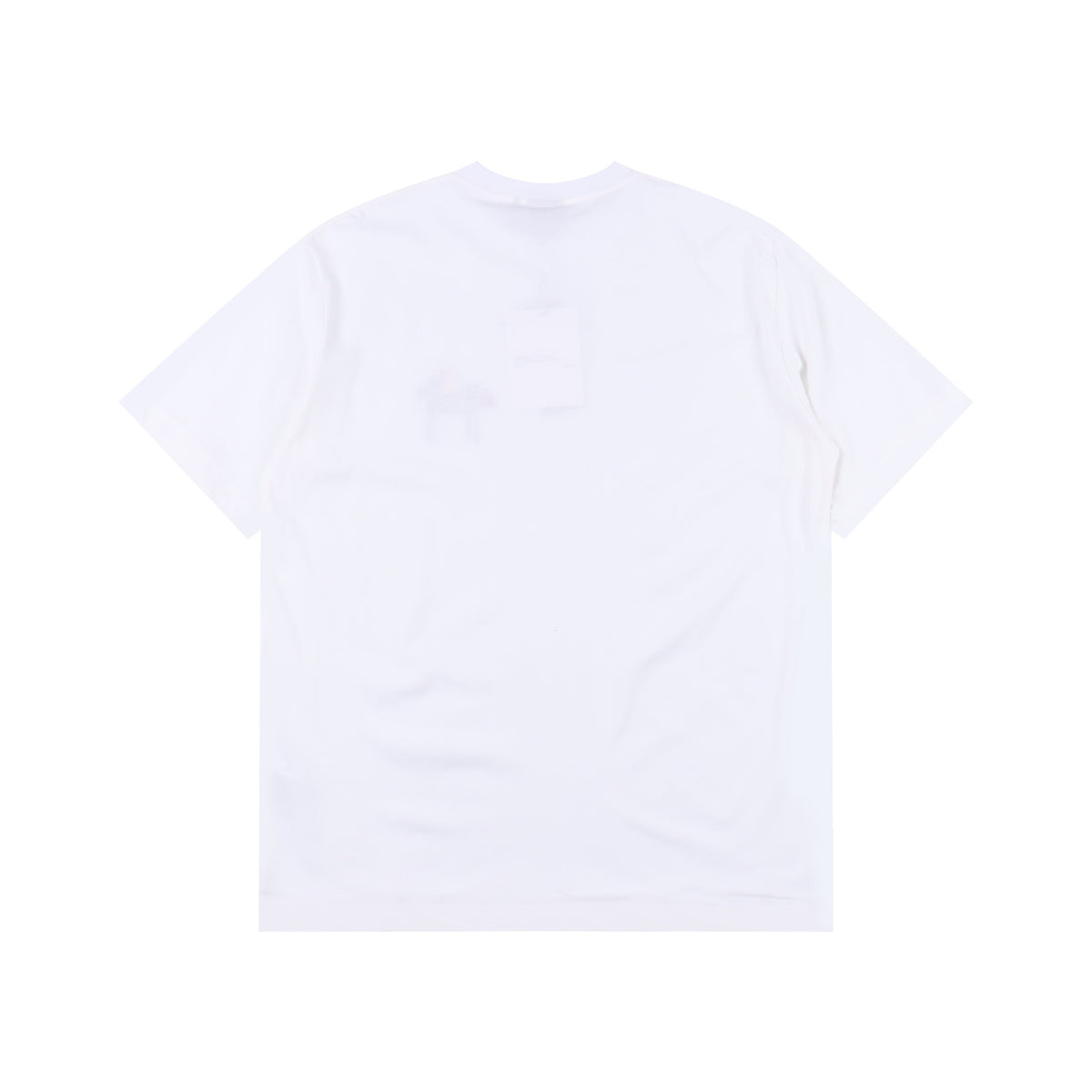DIOR T-SHIRT - SUPER CLONE