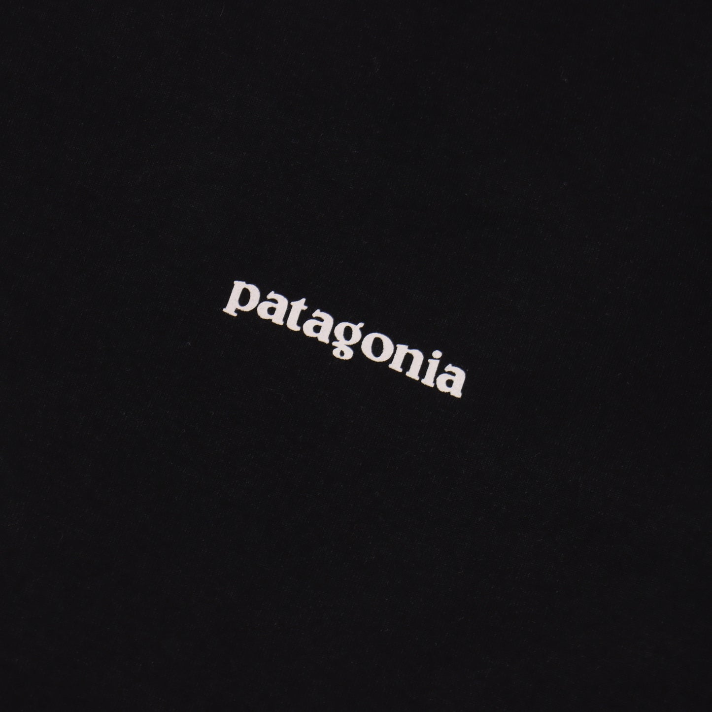 PATAGONIA T-SHIRT - SUPER CLONE