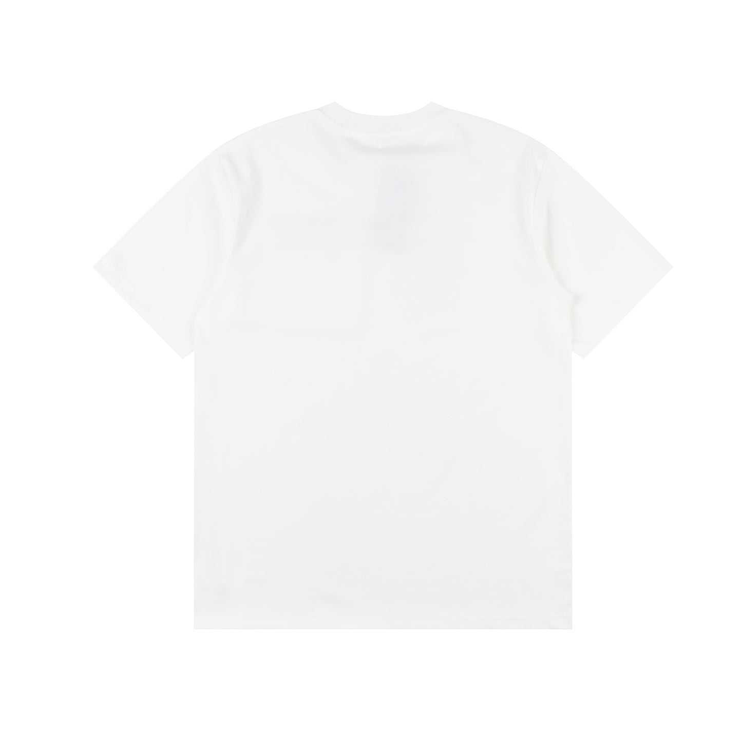 DIOR T-SHIRT - SUPER CLONE