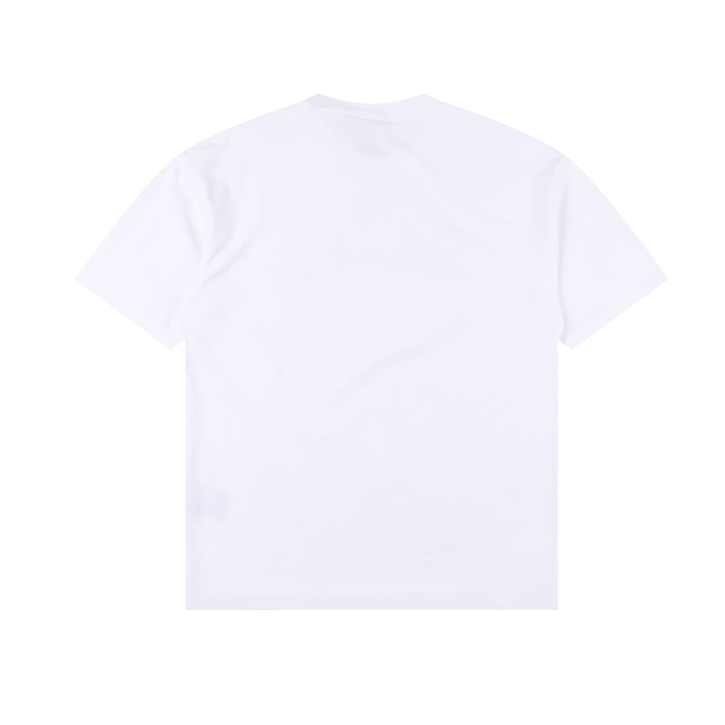 DIOR T-SHIRT - SUPER CLONE
