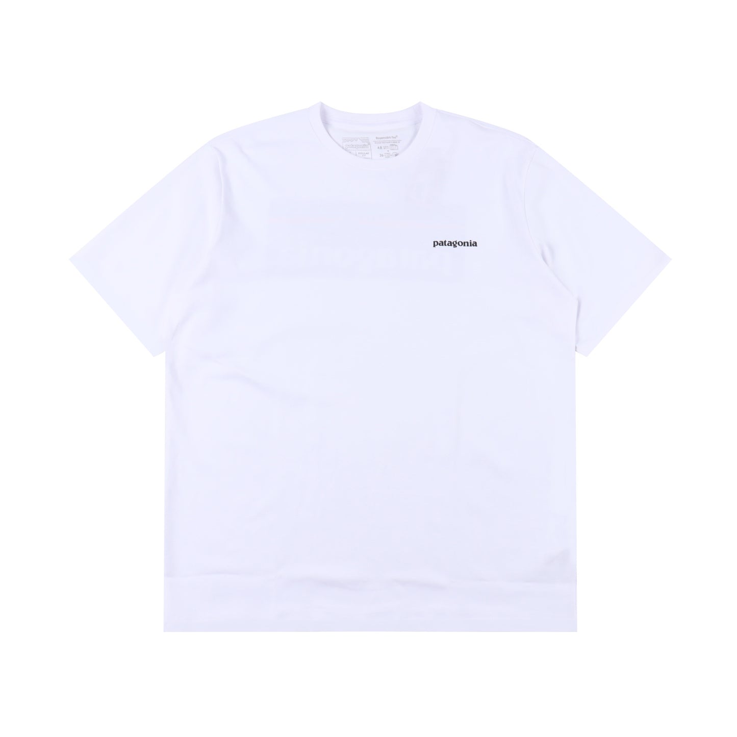 PATAGONIA T-SHIRT - SUPER CLONE