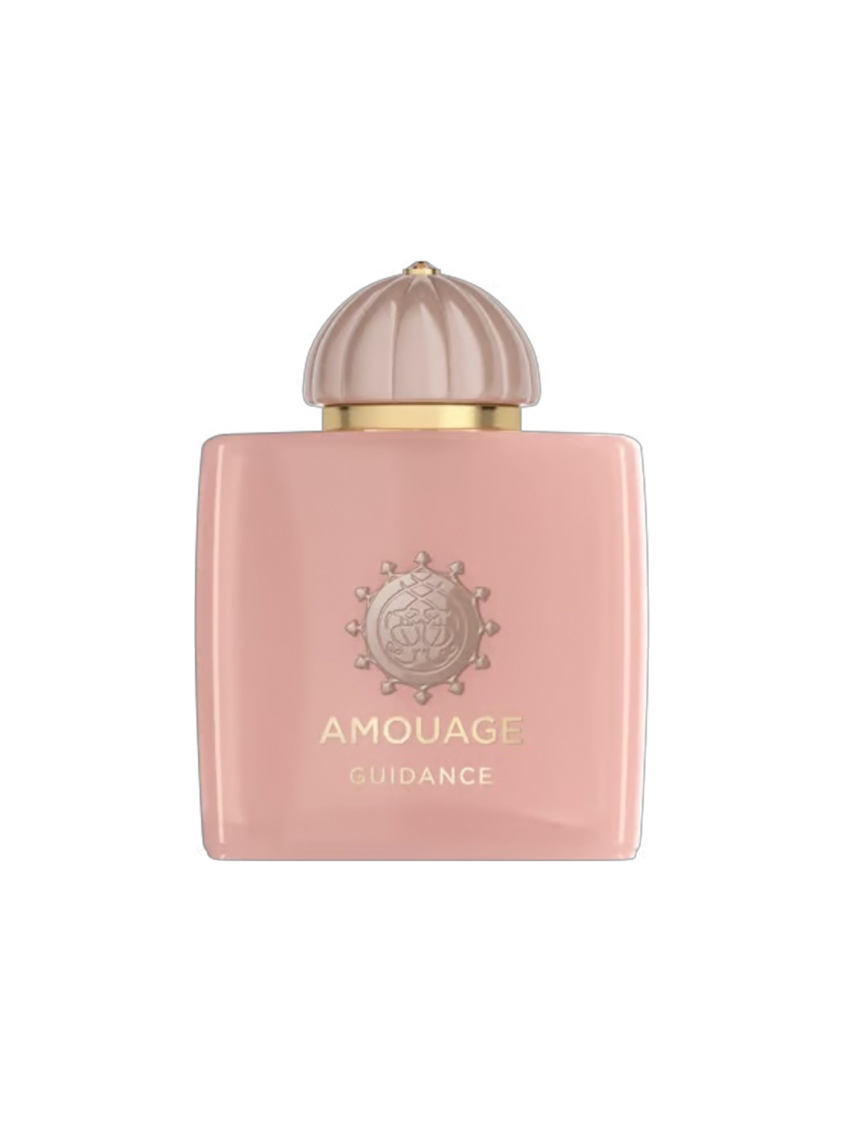 AMOUAGE PARFUMS - 100ML - OVP
