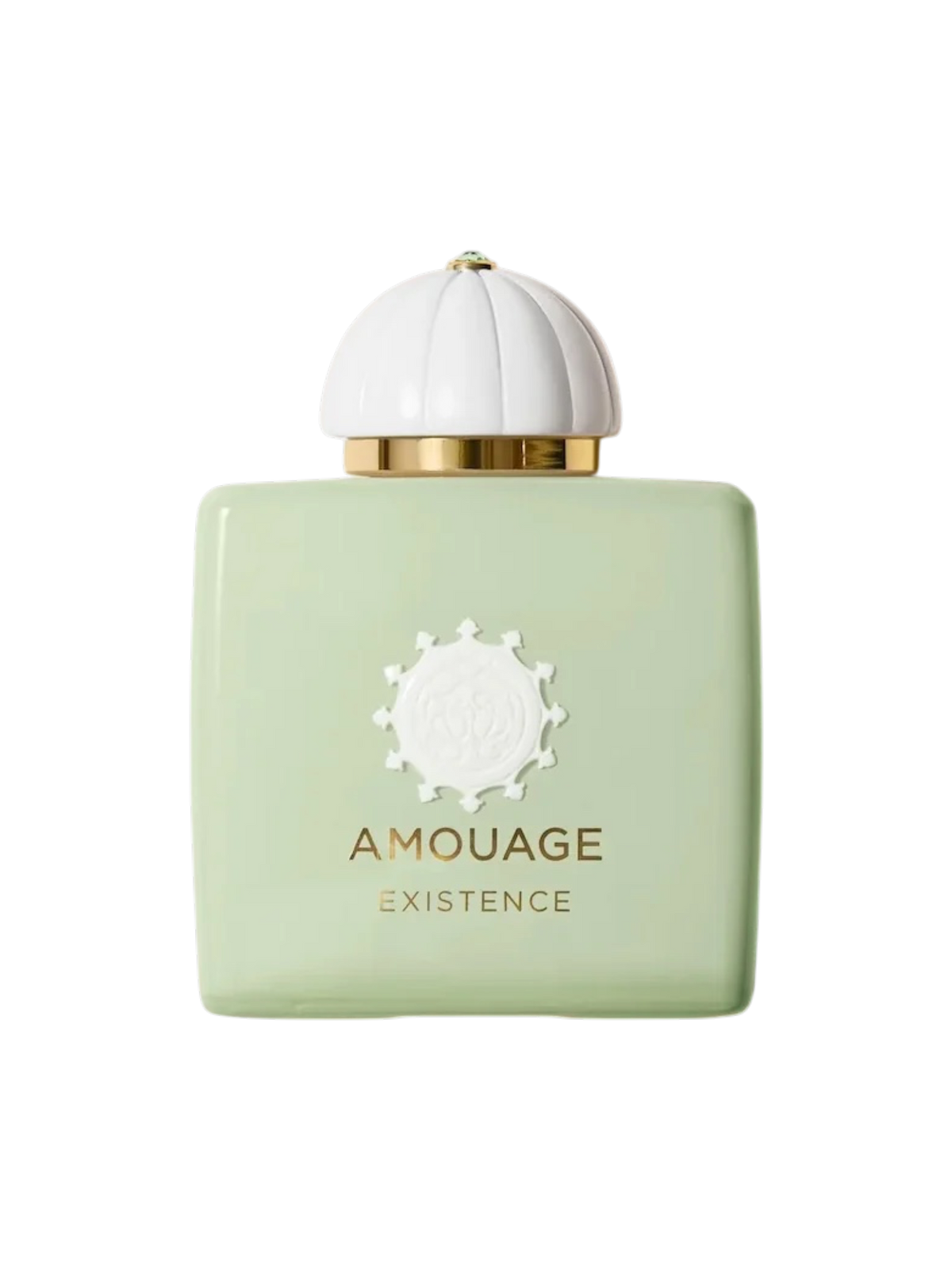AMOUAGE PARFUMS - 100ML - OVP