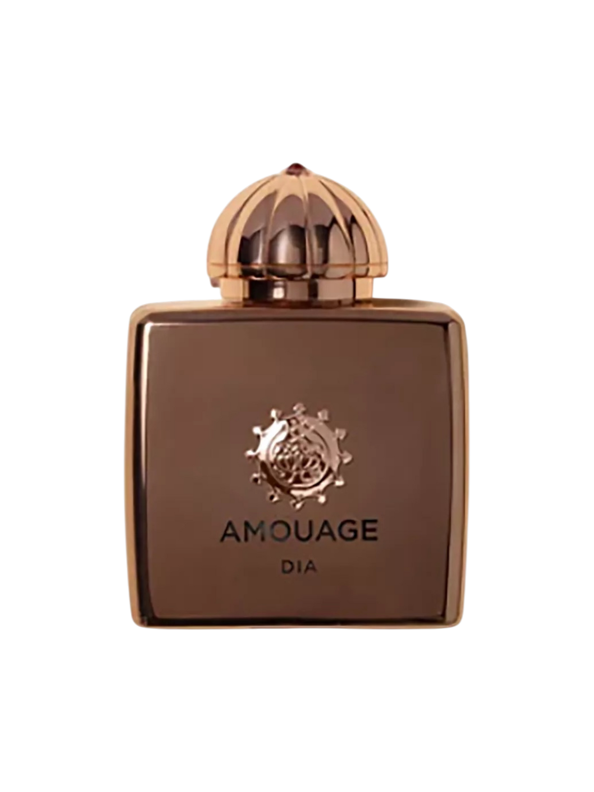 AMOUAGE PARFUMS - 100ML - OVP