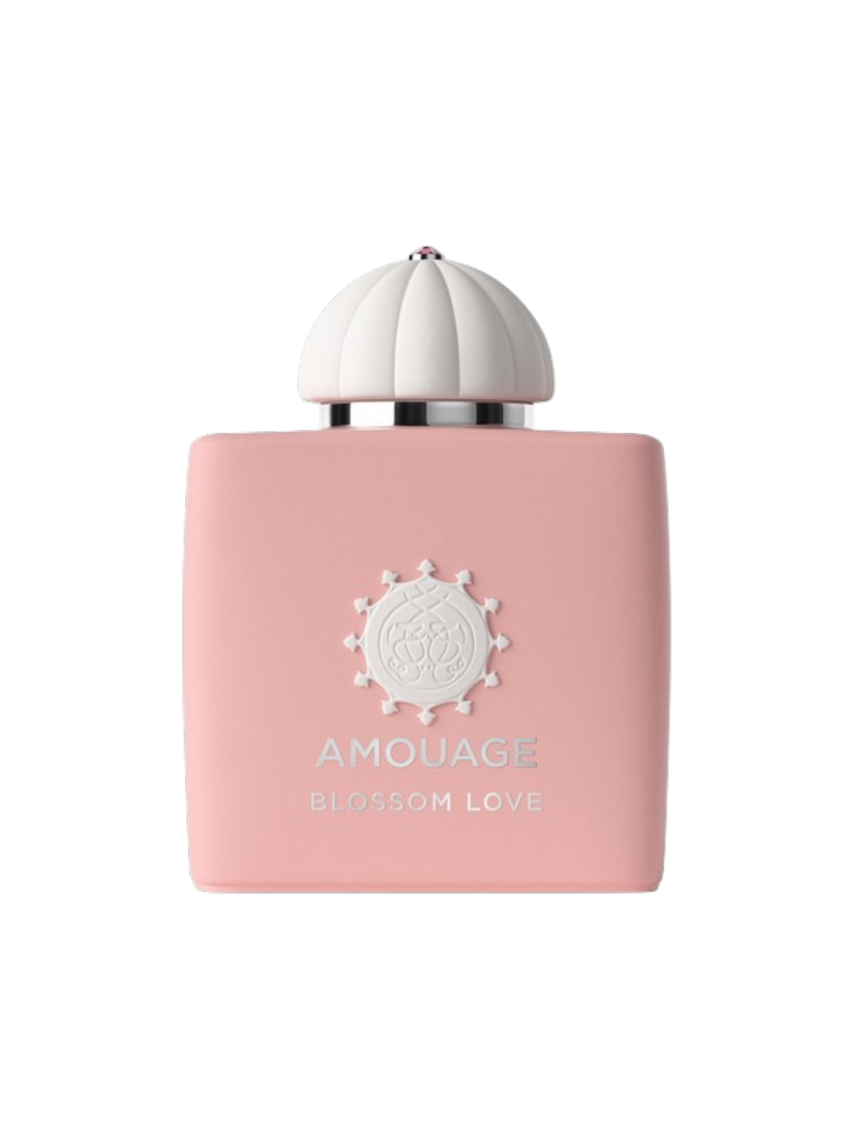 AMOUAGE PARFUMS - 100ML - OVP