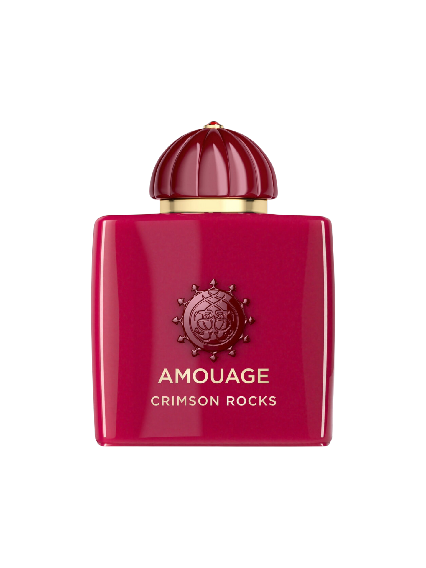 AMOUAGE PARFUMS - 100ML - OVP HIGH QUALITY 1:1