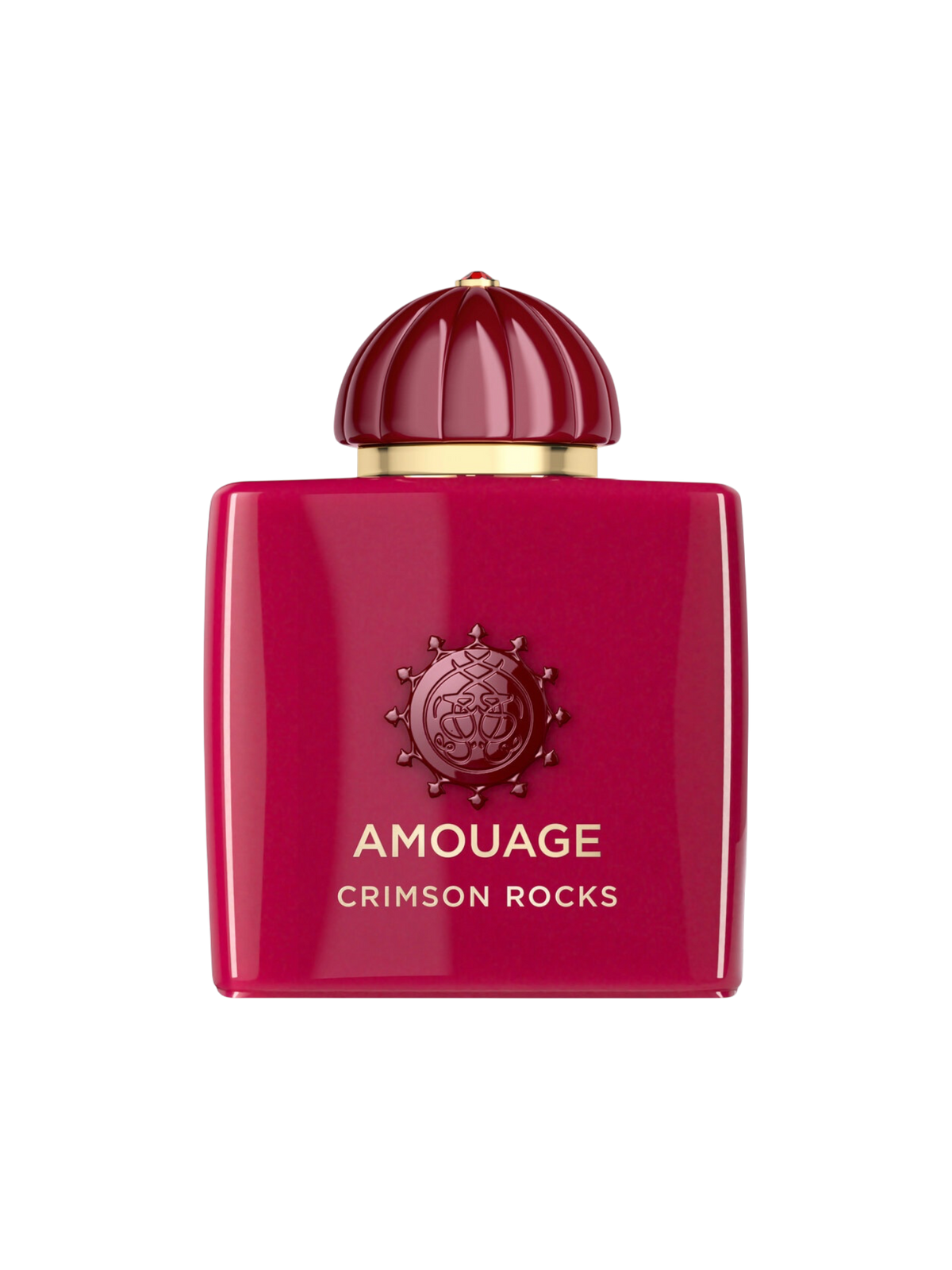 AMOUAGE PARFUMS - 100ML - OVP