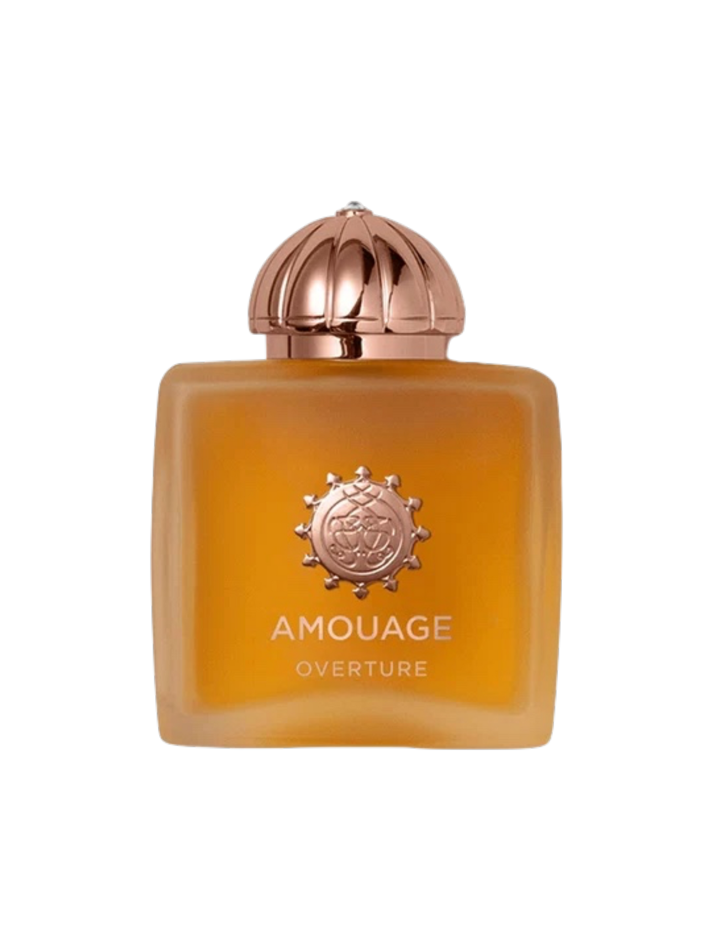 AMOUAGE PARFUMS - 100ML - OVP HIGH QUALITY 1:1