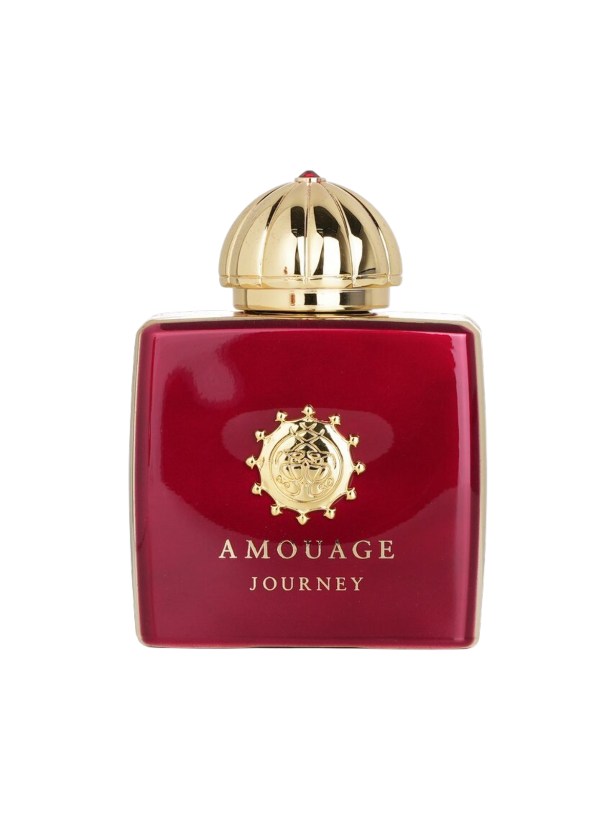 AMOUAGE PARFUMS - 100ML - OVP