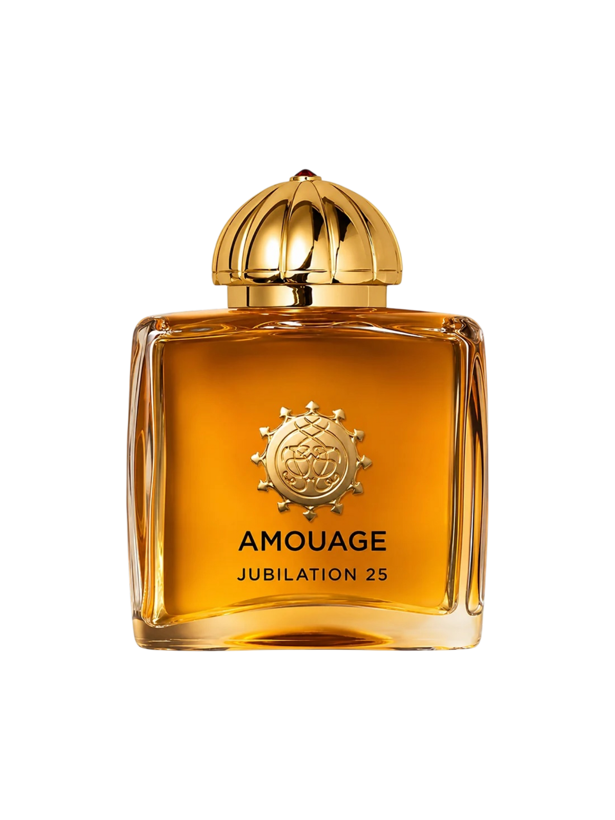 AMOUAGE PARFUMS - 100ML - OVP