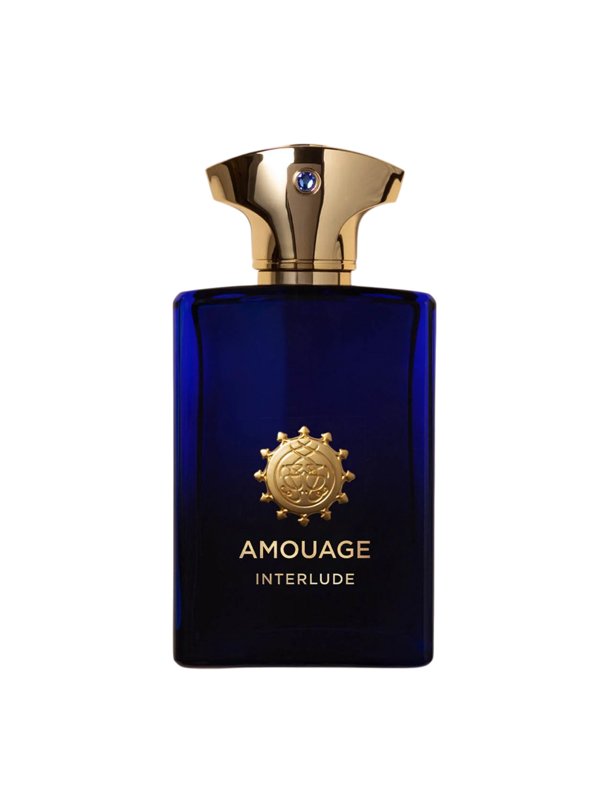 AMOUAGE PARFUMS - 100ML - OVP