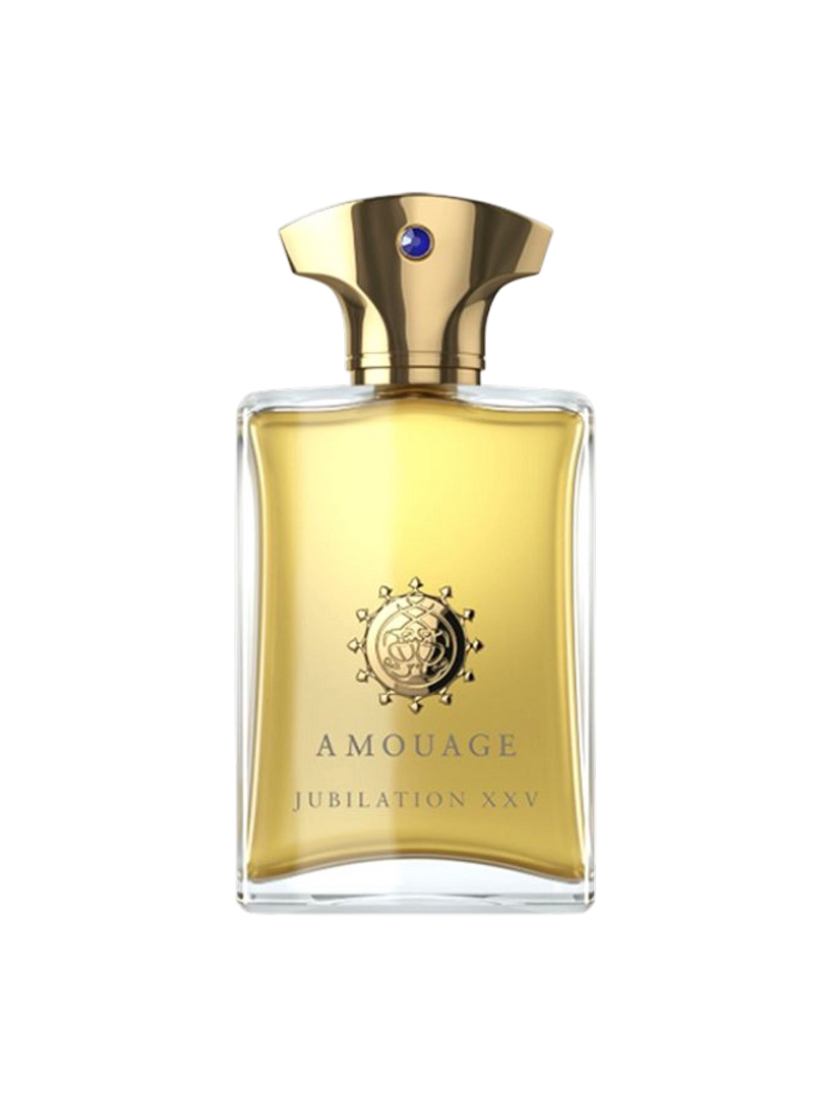 AMOUAGE PARFUMS - 100ML - OVP