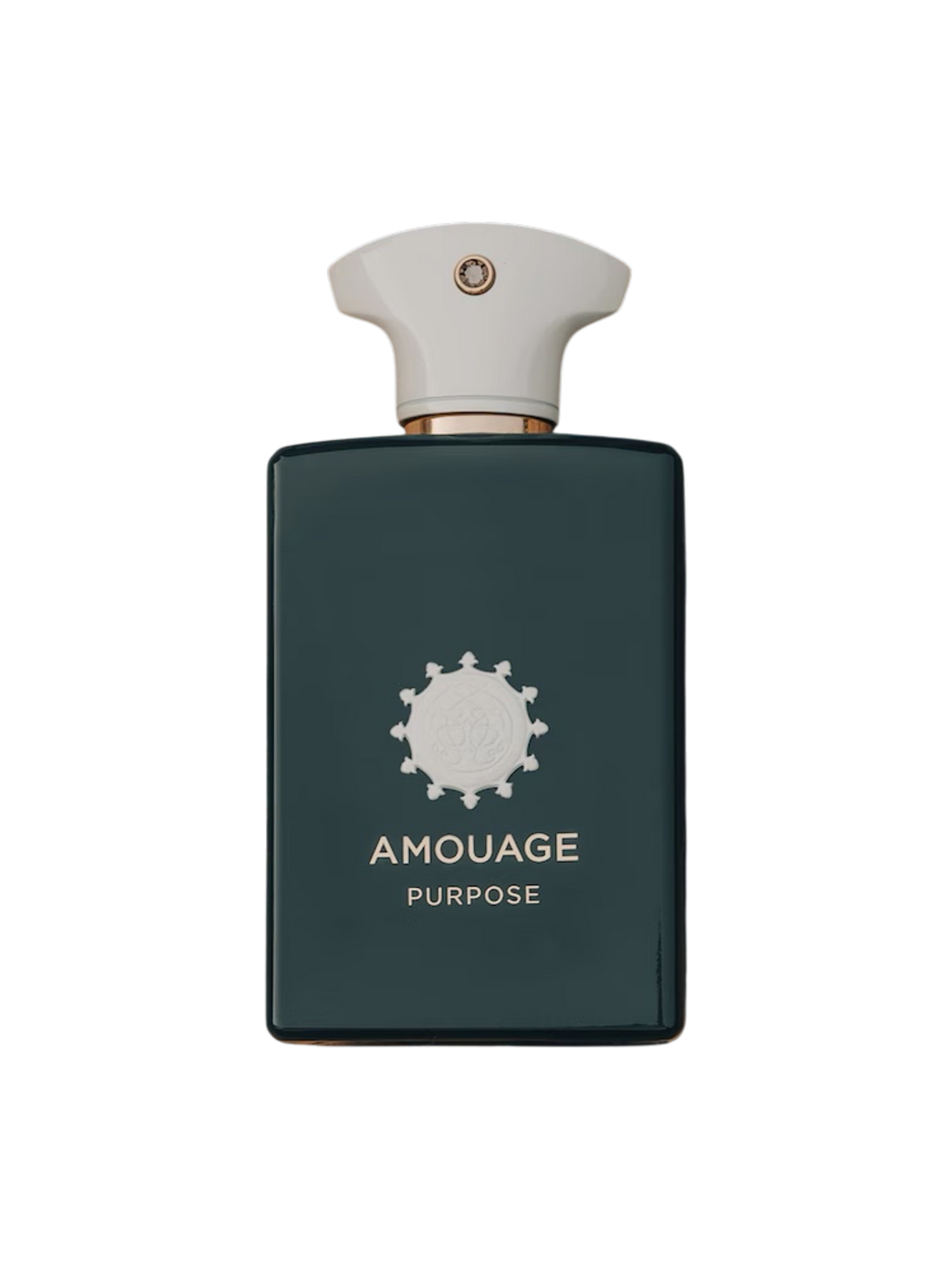 AMOUAGE PARFUMS - 100ML - OVP