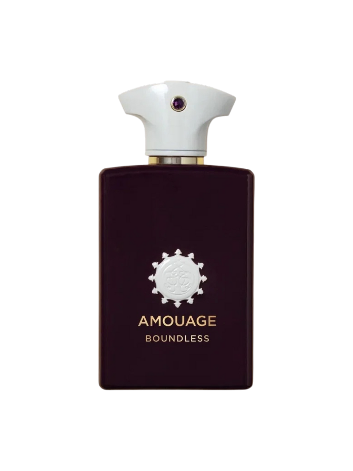 AMOUAGE PARFUMS - 100ML - OVP