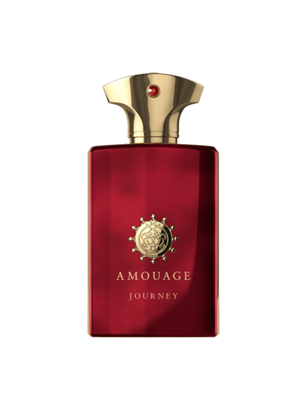 AMOUAGE PARFUMS - 100ML - OVP