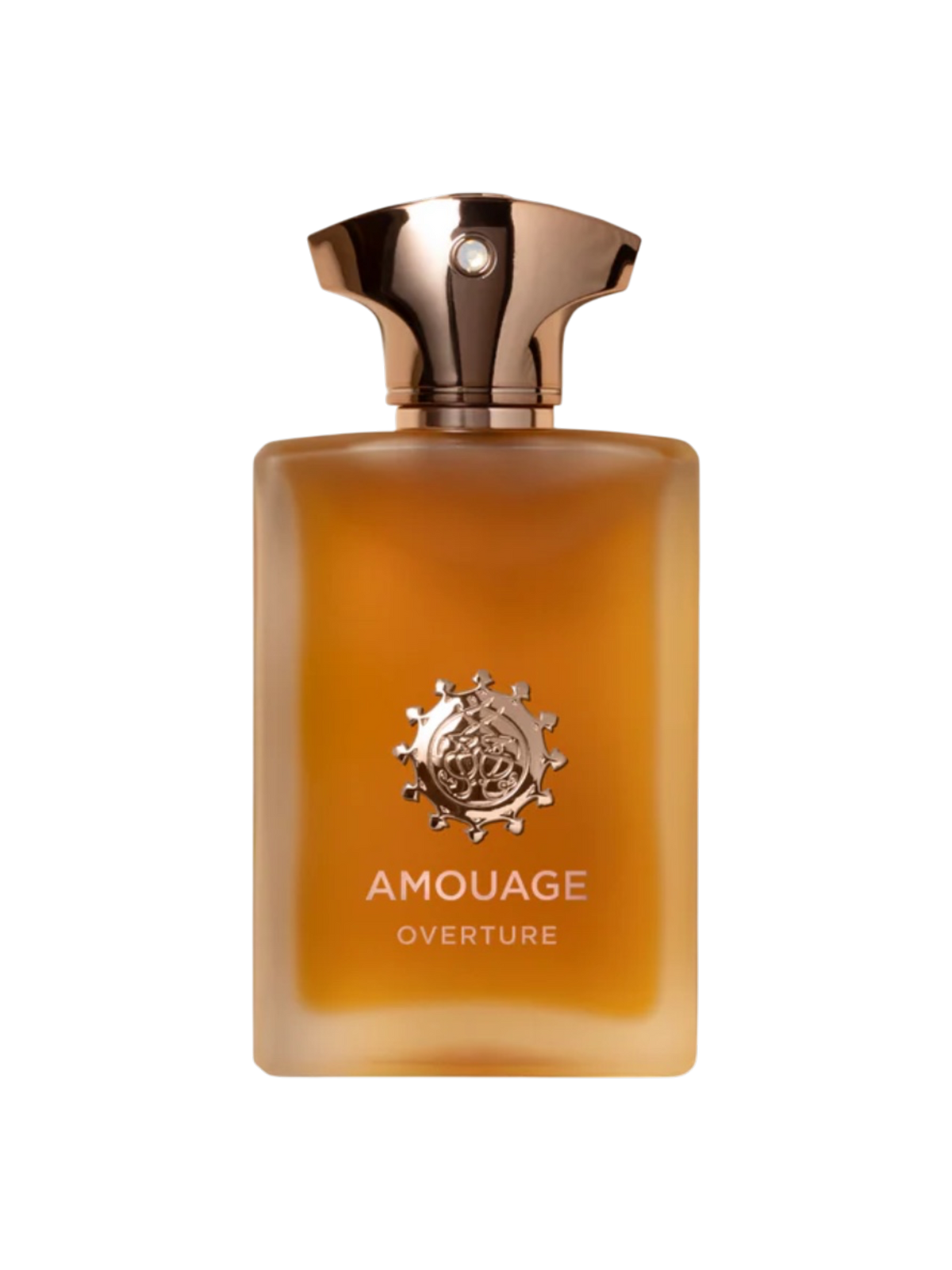 AMOUAGE PARFUMS - 100ML - OVP